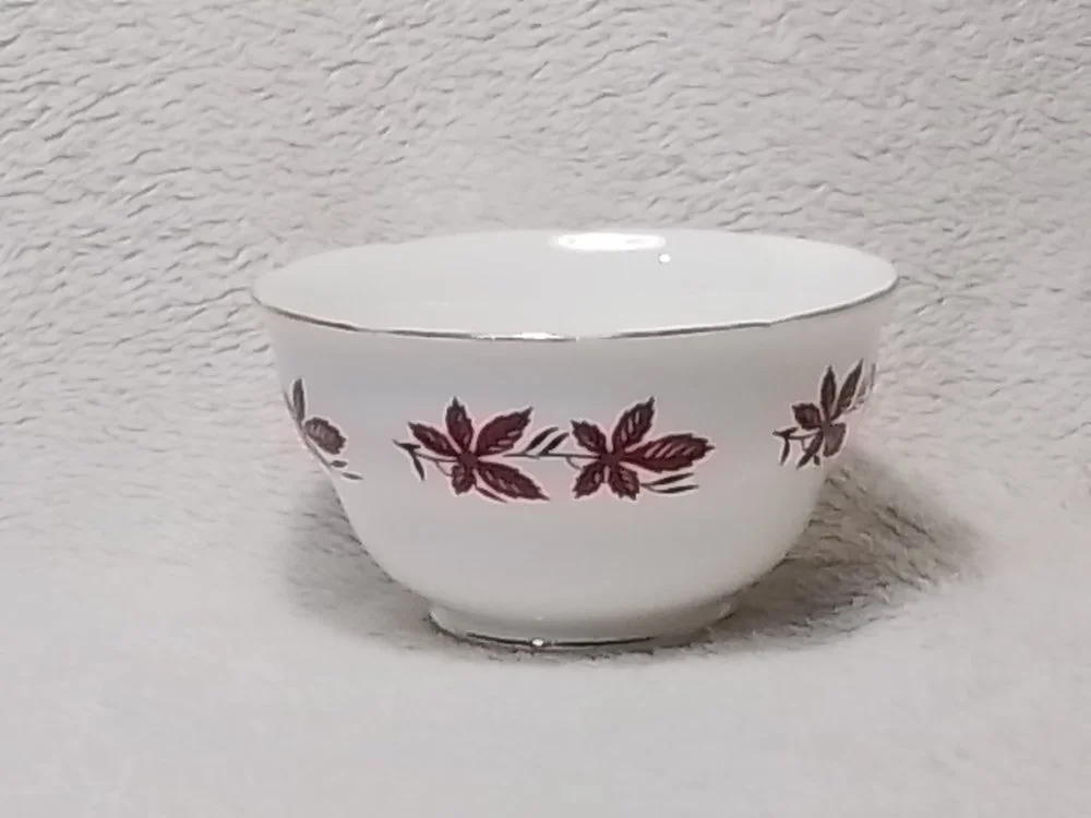 White ceramic bowl with a red leaf pattern, placed on a white textured surface.