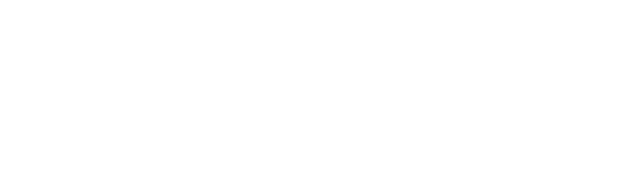 AAA Accounting