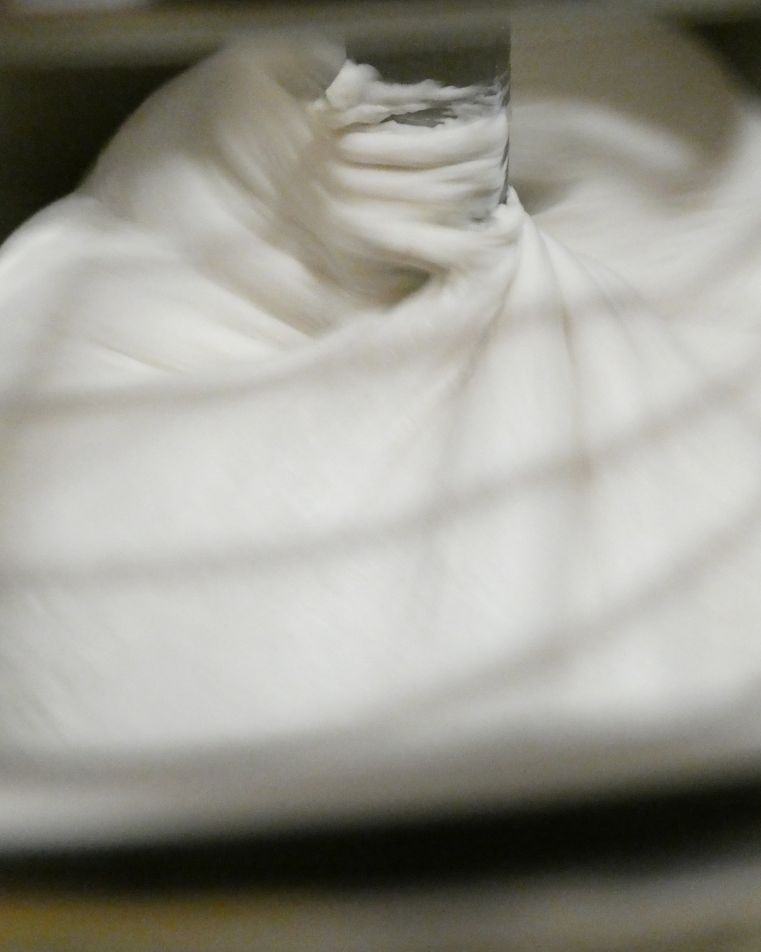 Biga vs Poolish: The Dough Debate You Never Knew You Needed