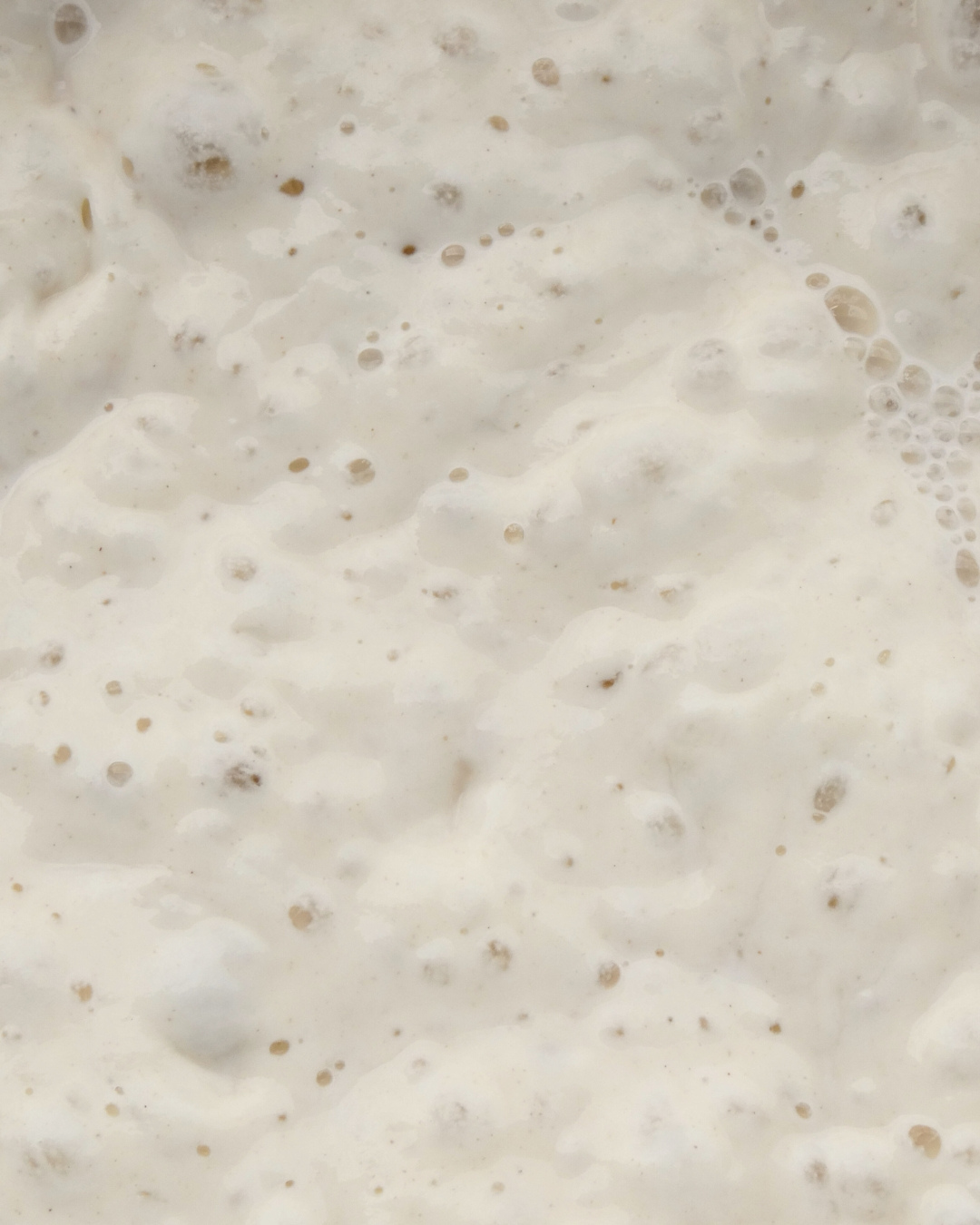 Close-up of bubbly poolish starter with active fermentation, showing its high hydration and airy texture.