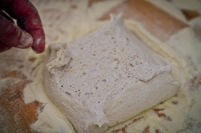Close-up of 72-hour fermented pizza dough showing an airy, open crumb on a floured work surface.