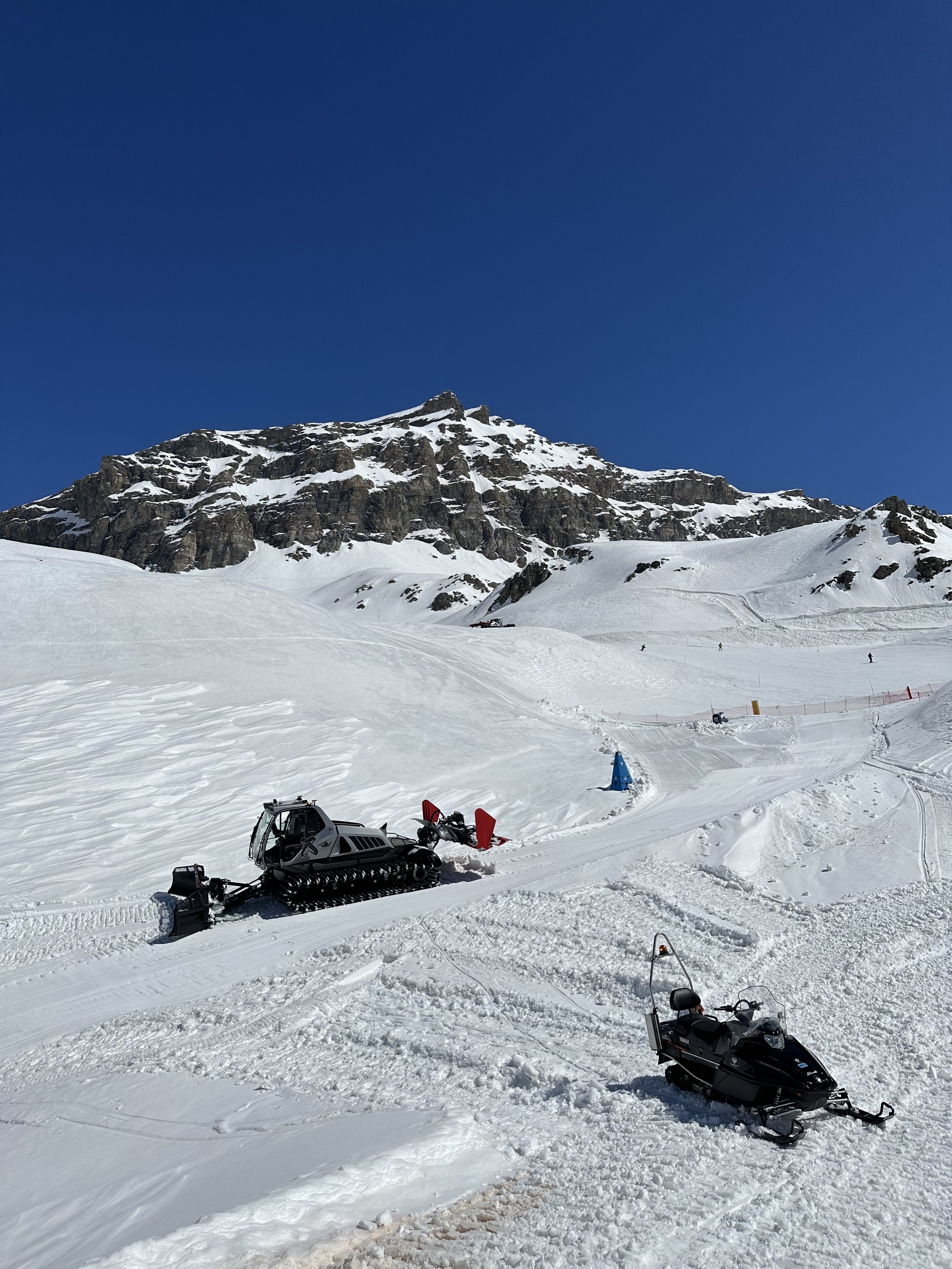 IMG_1515.jpg