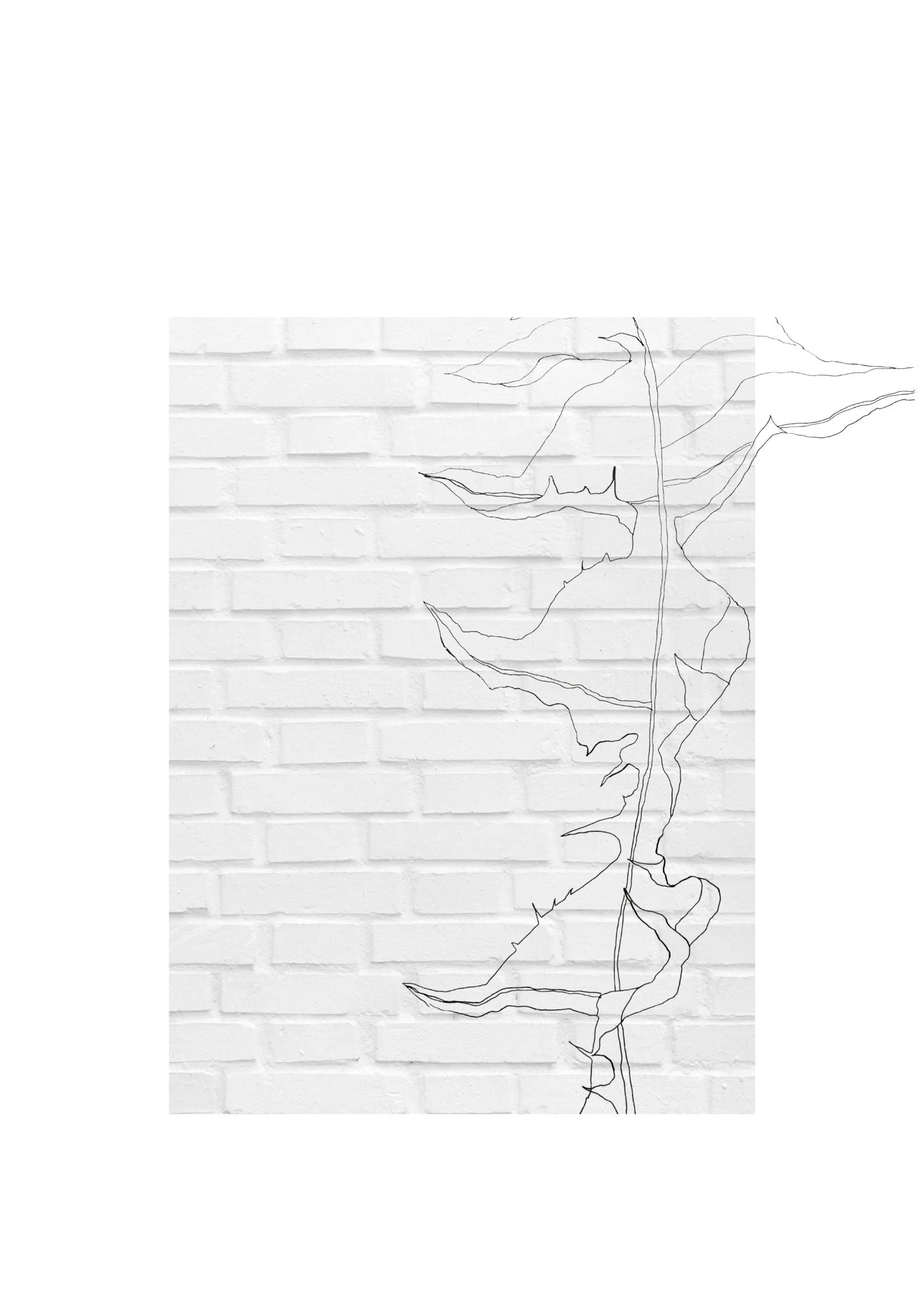 Plantetegning for nybegynnere på Gol