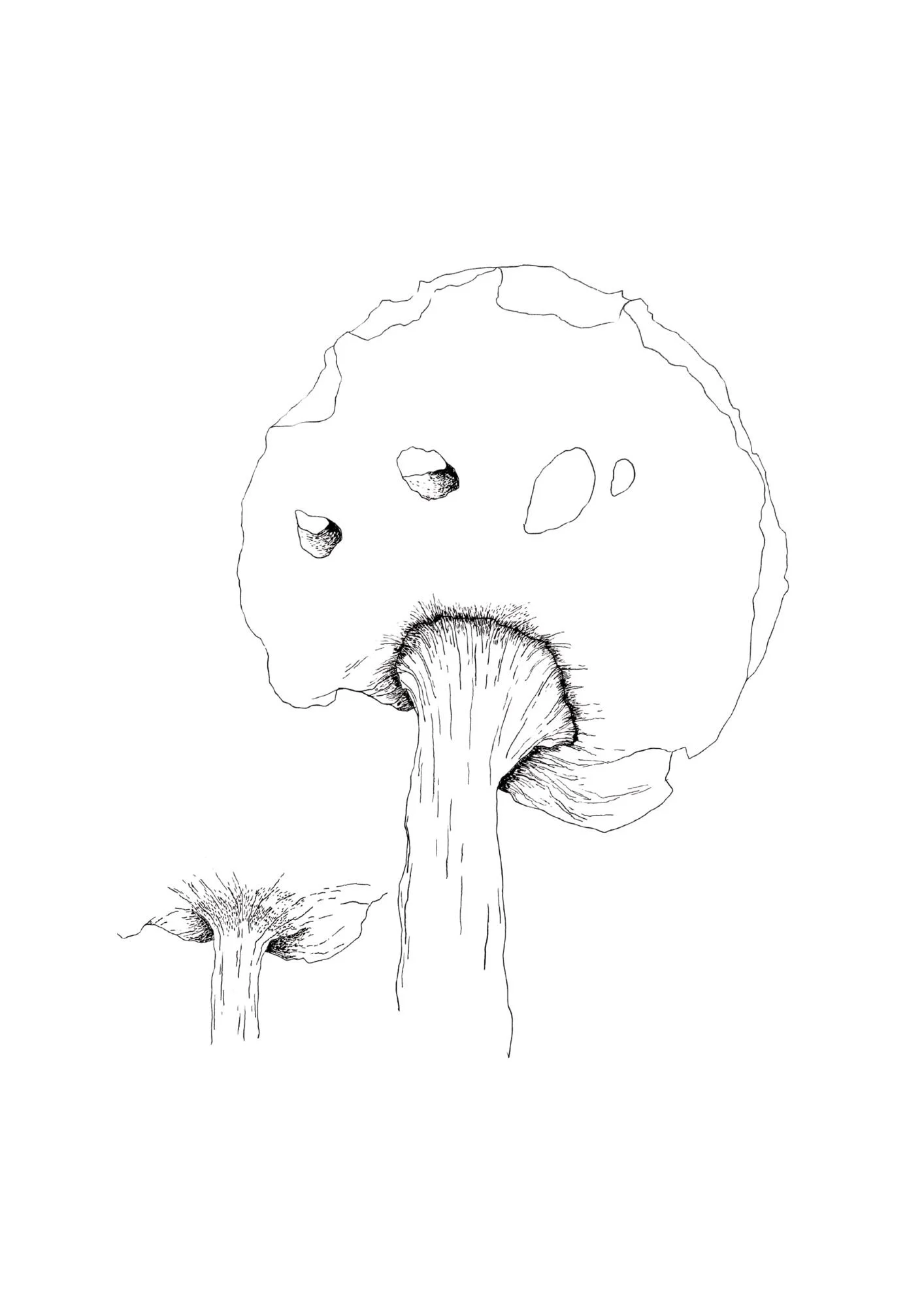 Design uden navn (1).jpg