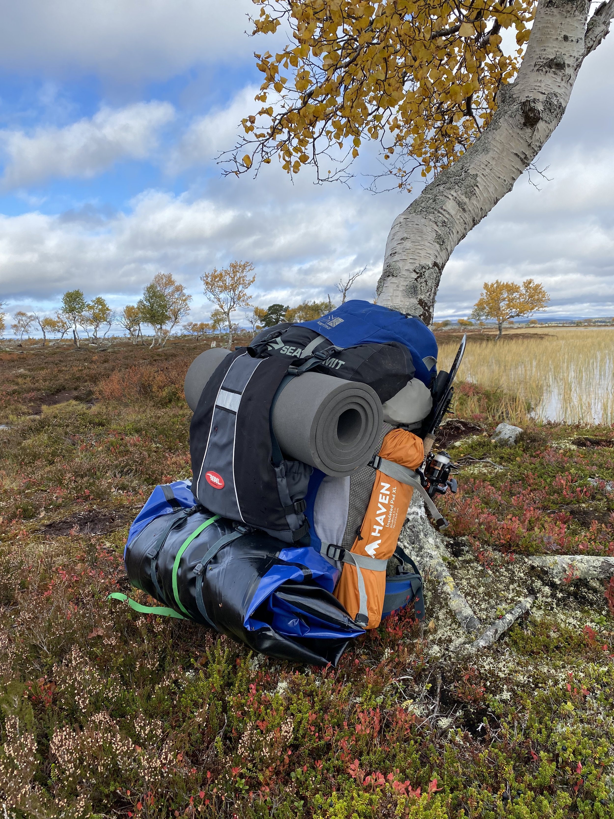 Turutstyr lent mot et tre i et naturskjønt høstlandskap med gule blader og en vidstrakt eng under en overskyet himmel.