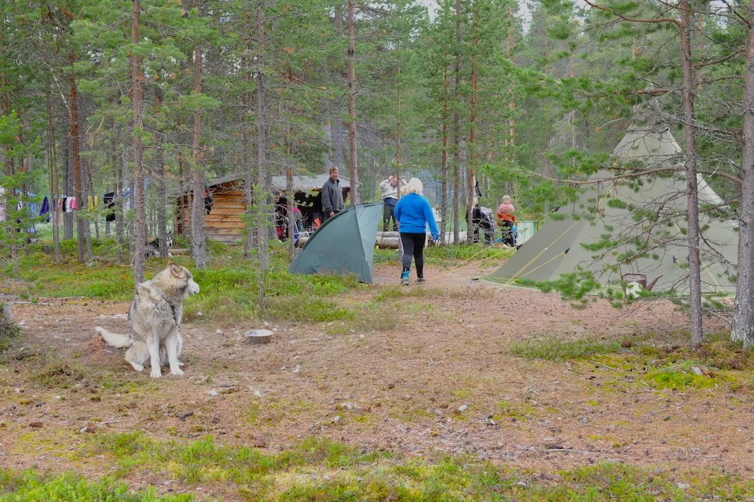 DSC_1685.JPG