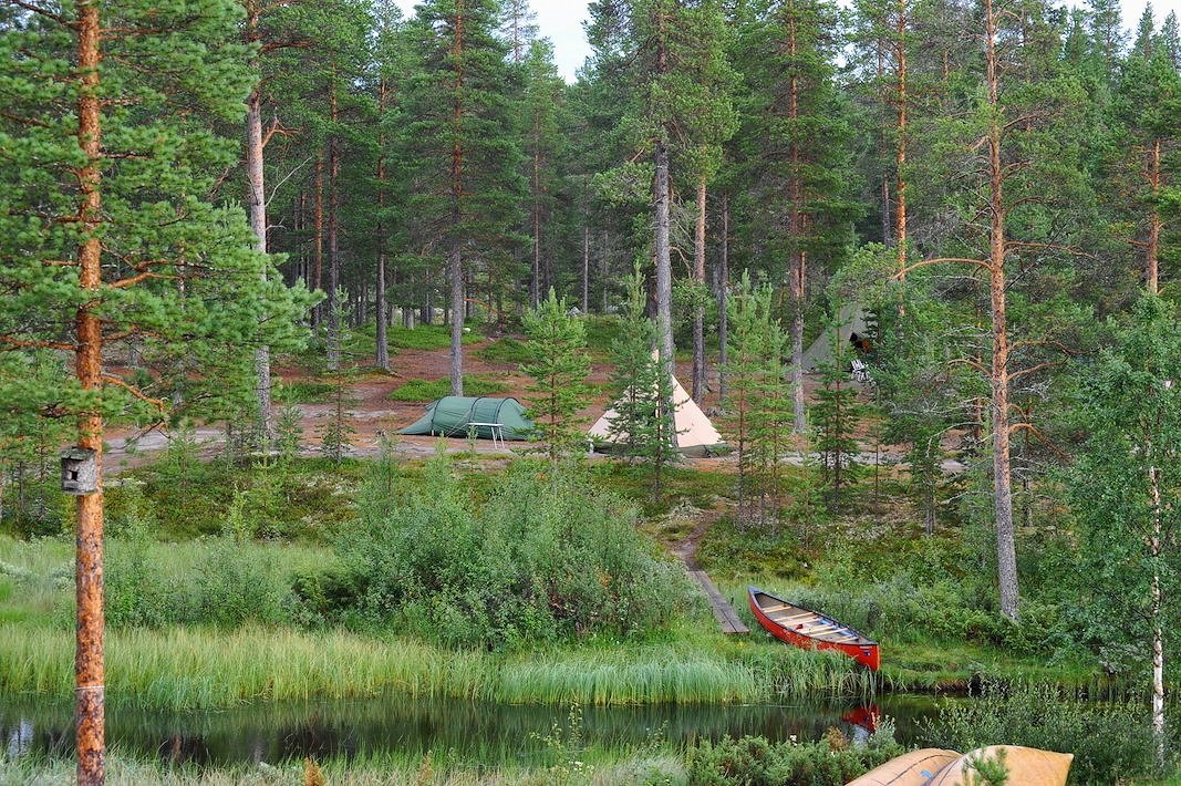 DSC_8108.jpg