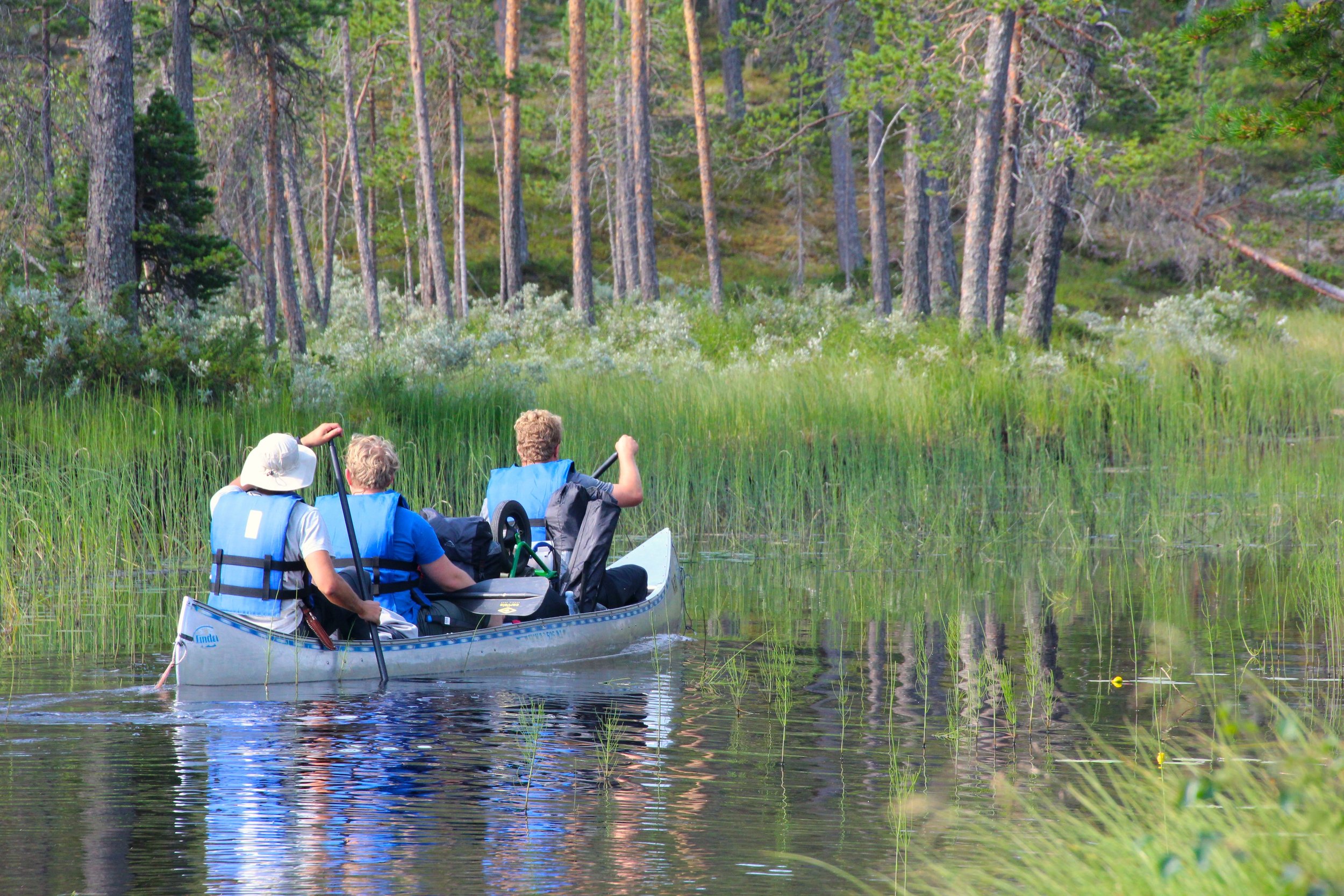 Three people in a canoe paddling through a forested river with tall grass and trees on the riverbank, wearing blue life vests.