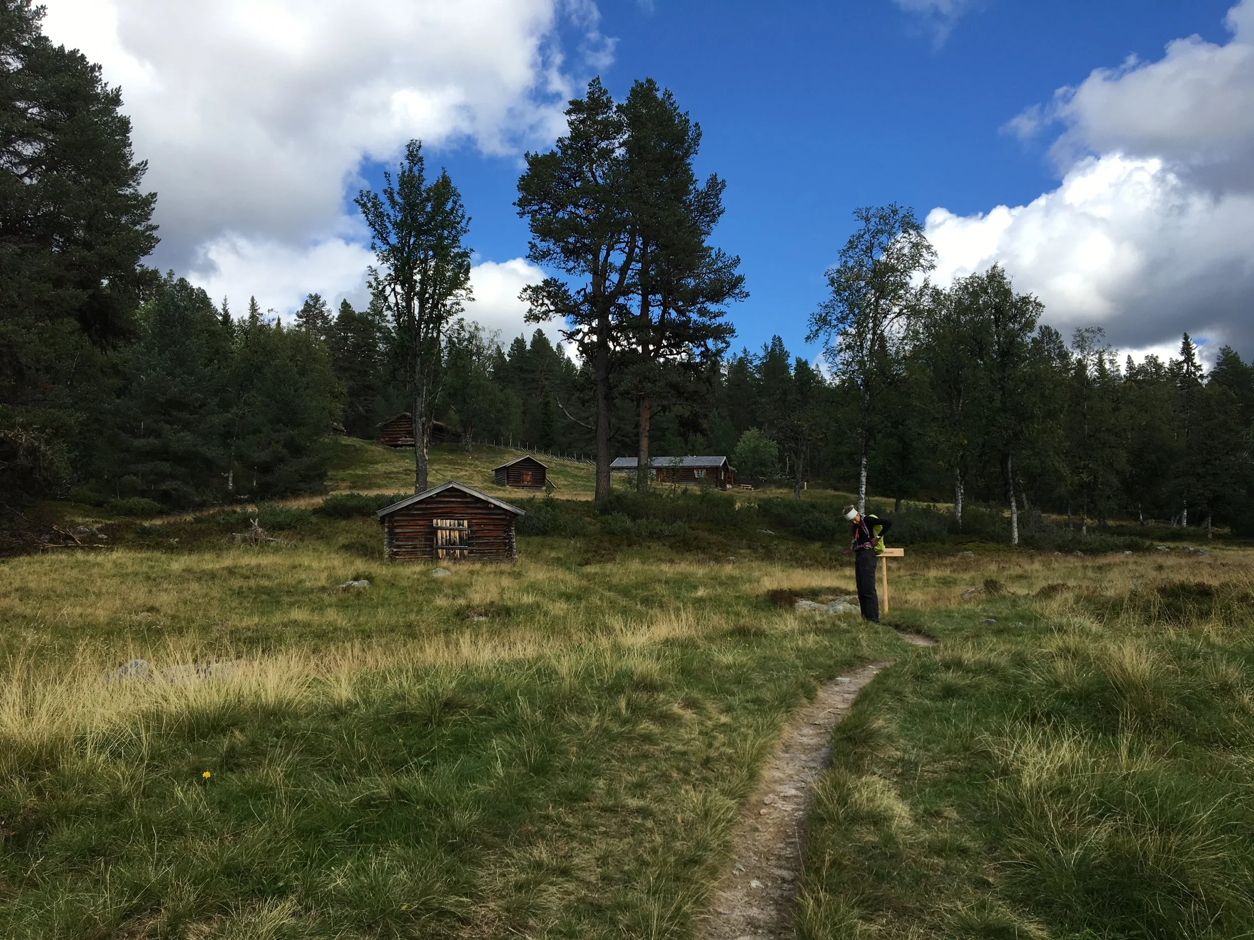 A person in outdoor clothing standing along a trail in a grassy field, reading a sign post near several small wooden cabins, with trees and a partly cloudy sky in the background.