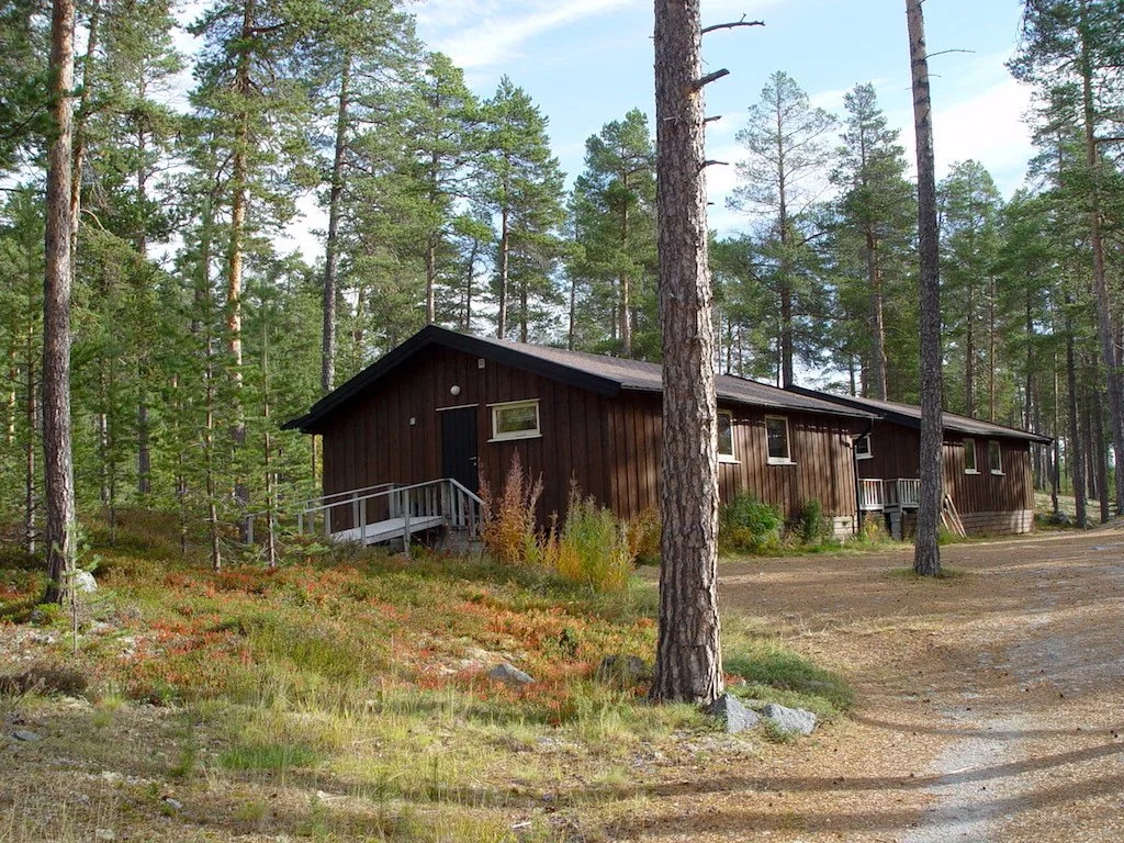 Wooden cabin in a forest surrounded by pine trees with a dirt path leading to it.