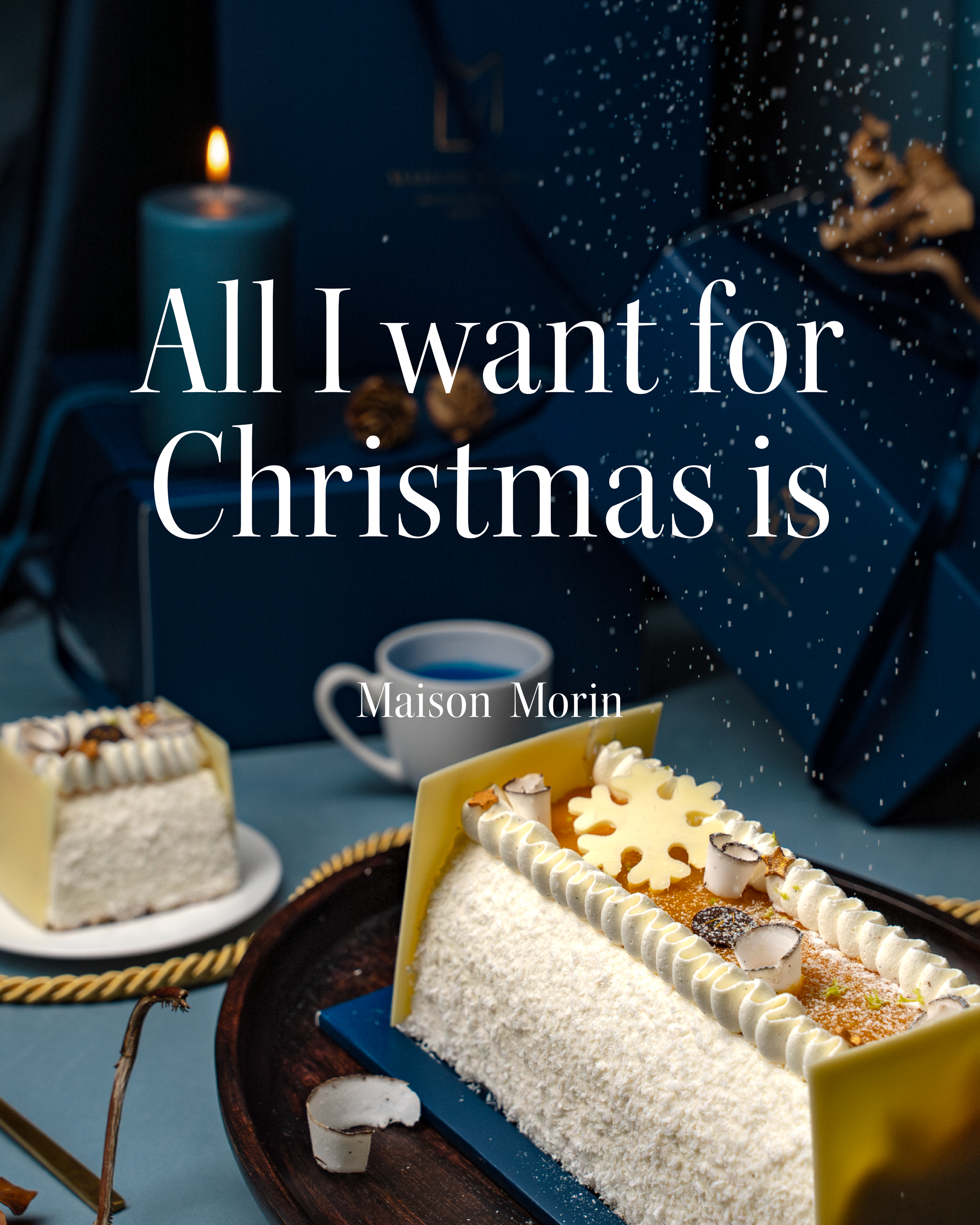 1Plan de travail 98 copie 9@4x.png