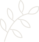 Simple line drawing of a small branch with leaves.