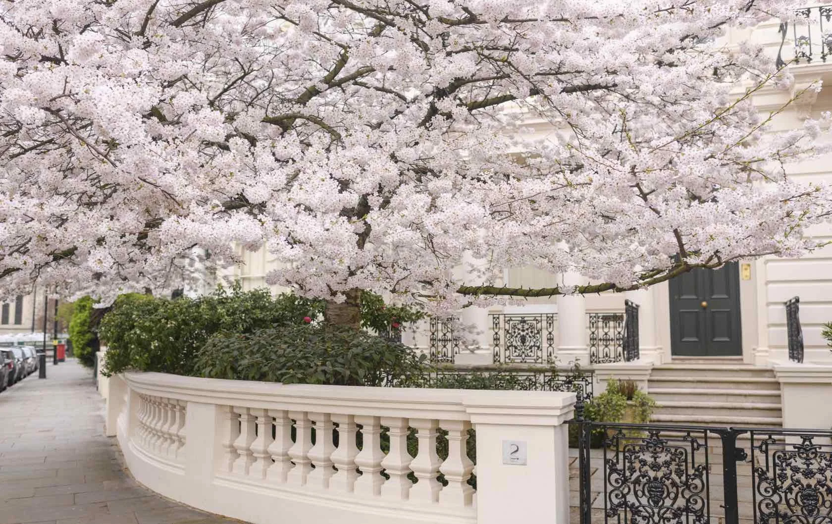 London-Perfect-Spring-Blooms