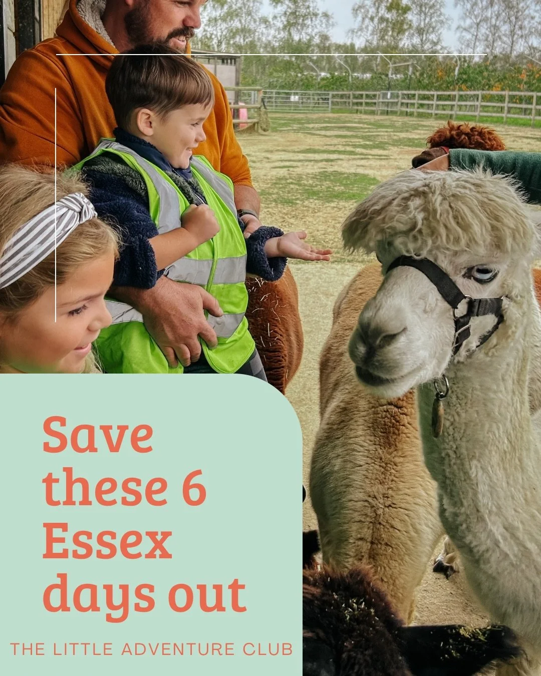 Save these days out in Essex 🌳🌿🌷

We&rsquo;ve had the best time exploring Essex this year, and honestly, it&rsquo;s reminded us just how much variety there is for families right on our doorstep.

From whimsical adventure parks and calm nature rese