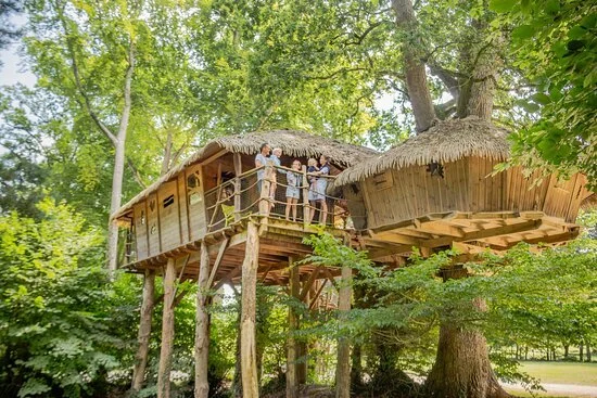 cabane-dans-les-arbres.jpg