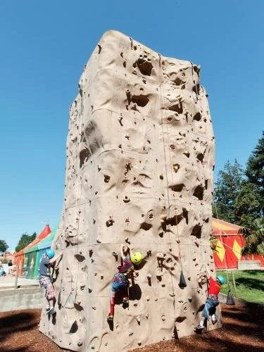 48953129.jpg