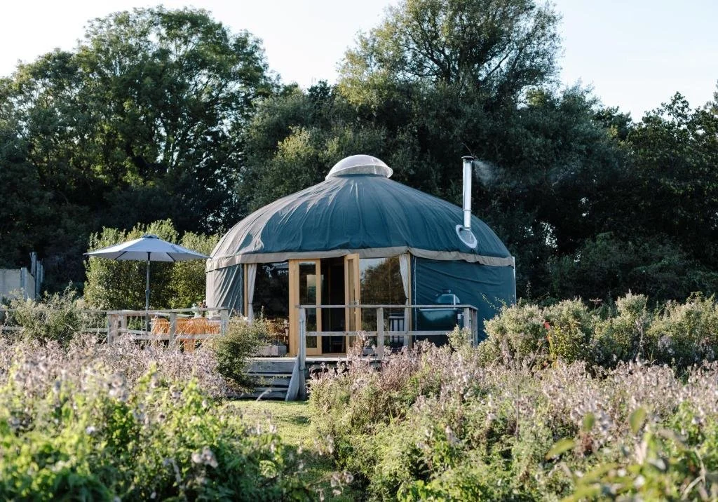 Moor Farm - Tree Field Yurt