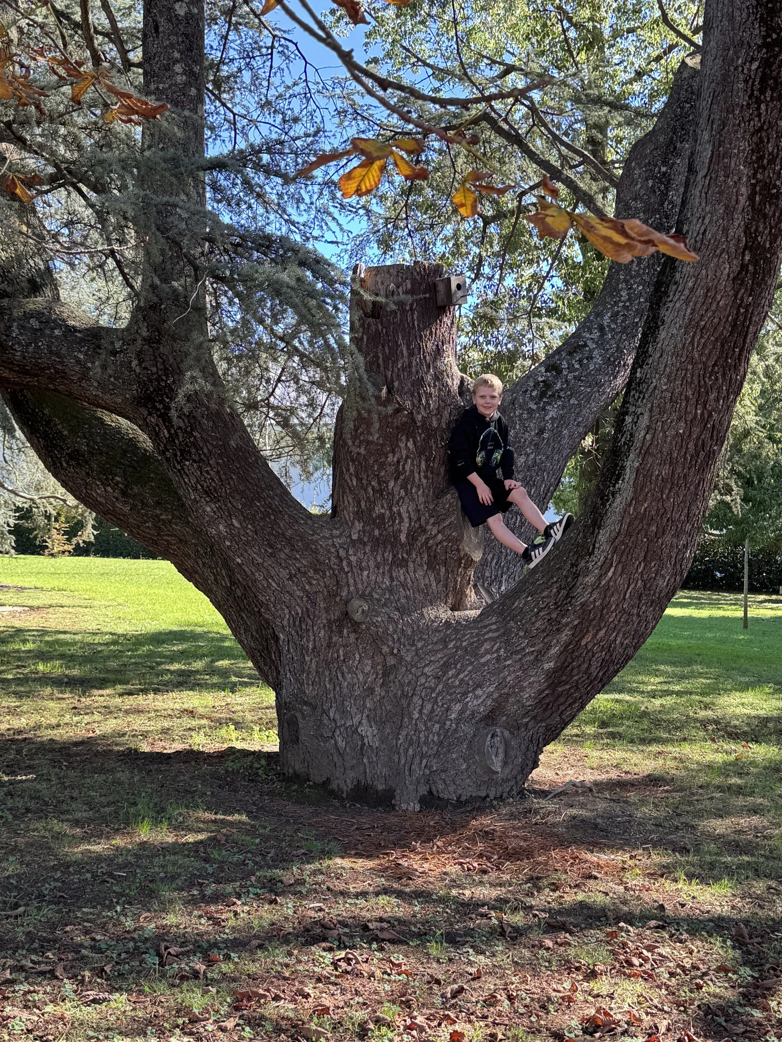 boy in forest portugal