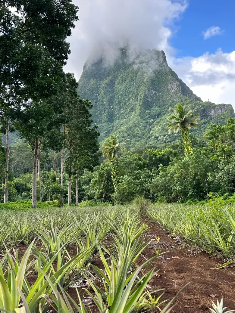 Why Moorea Is An Ideal Family Holiday Destination