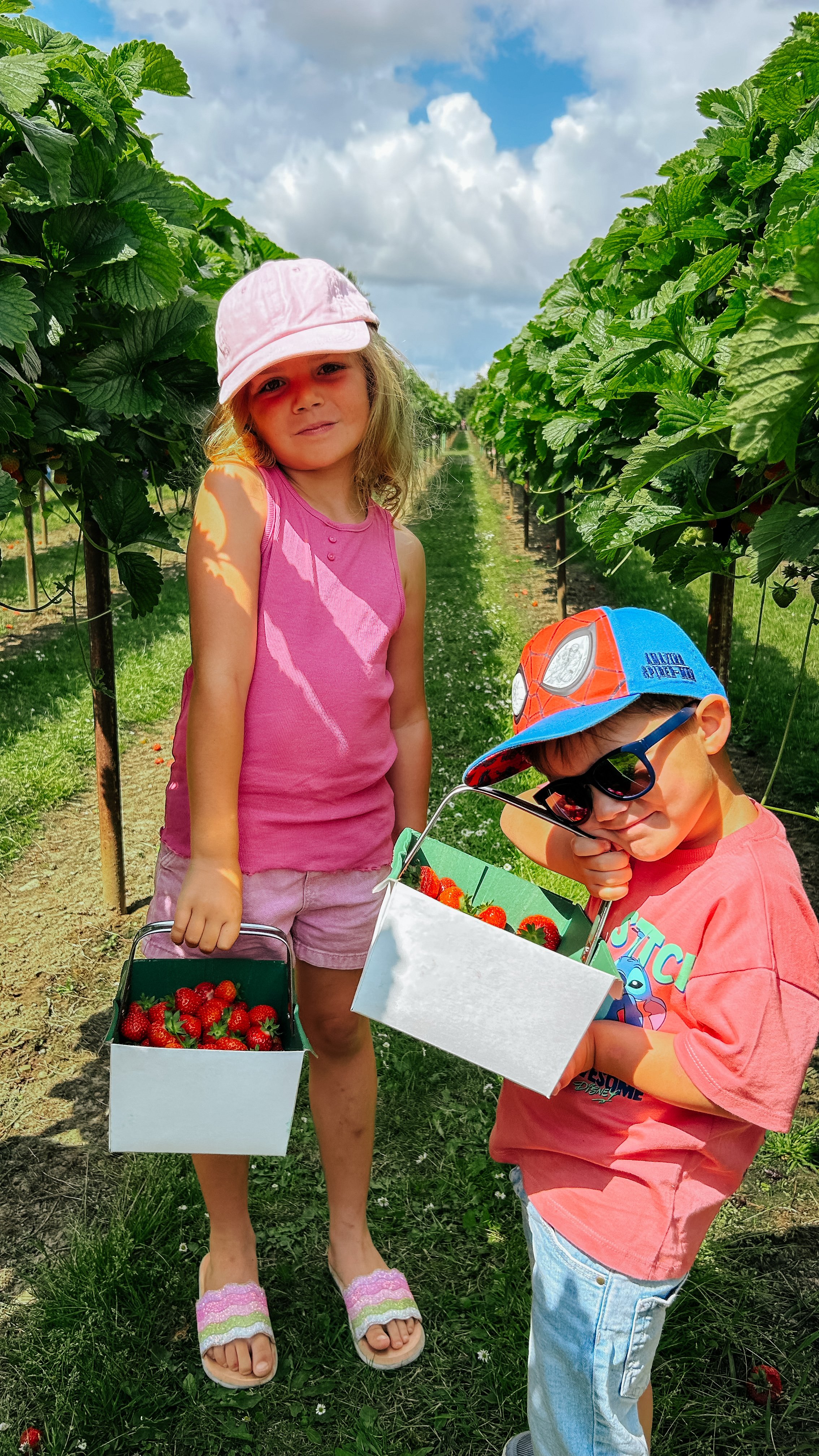 kids - strawberry - picking - essex