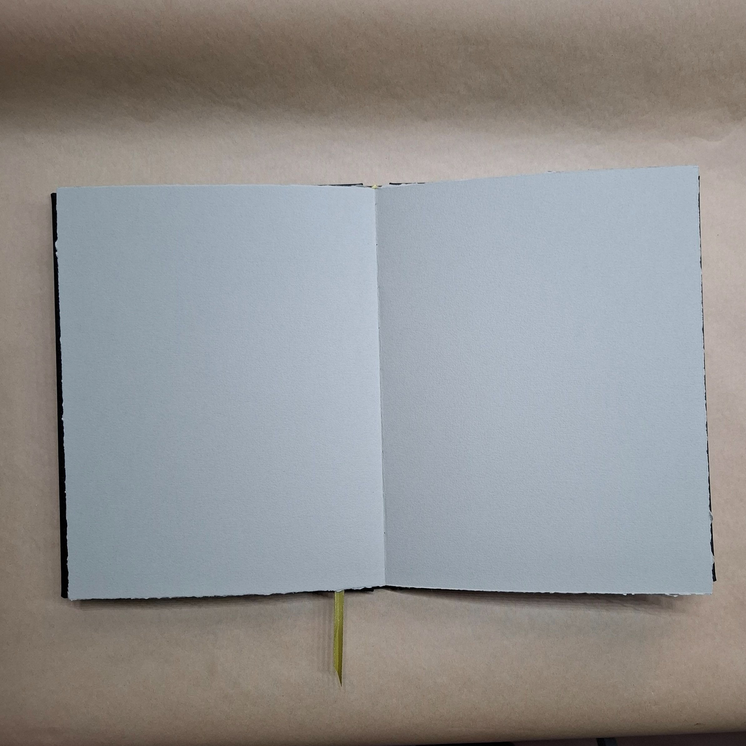 HGSBCansonTonedGrey1.c%5B1%5D.jpg