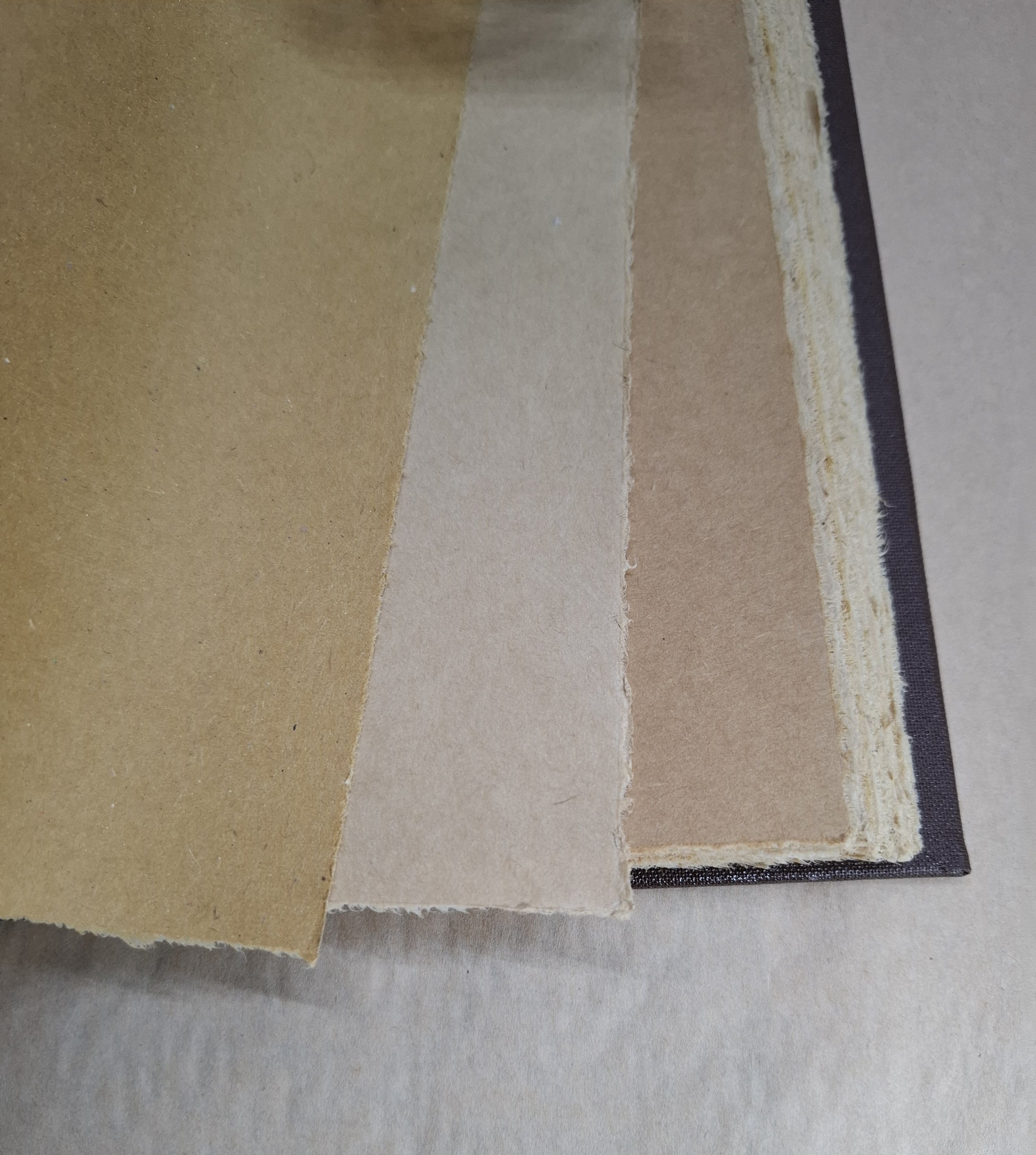 Mixed Tan Papers Mixed Media