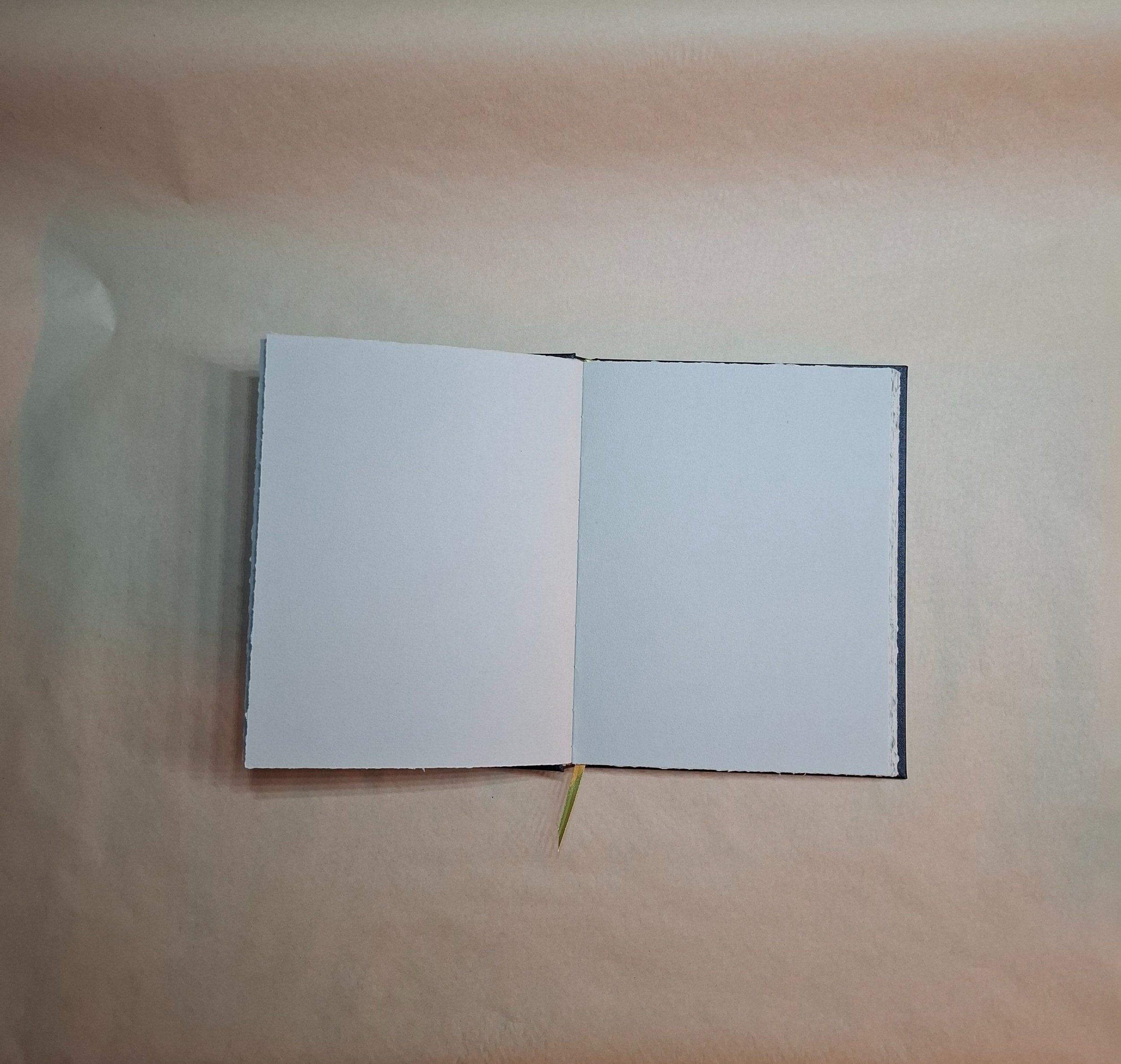 20250409_063015%5B1%5D.jpg