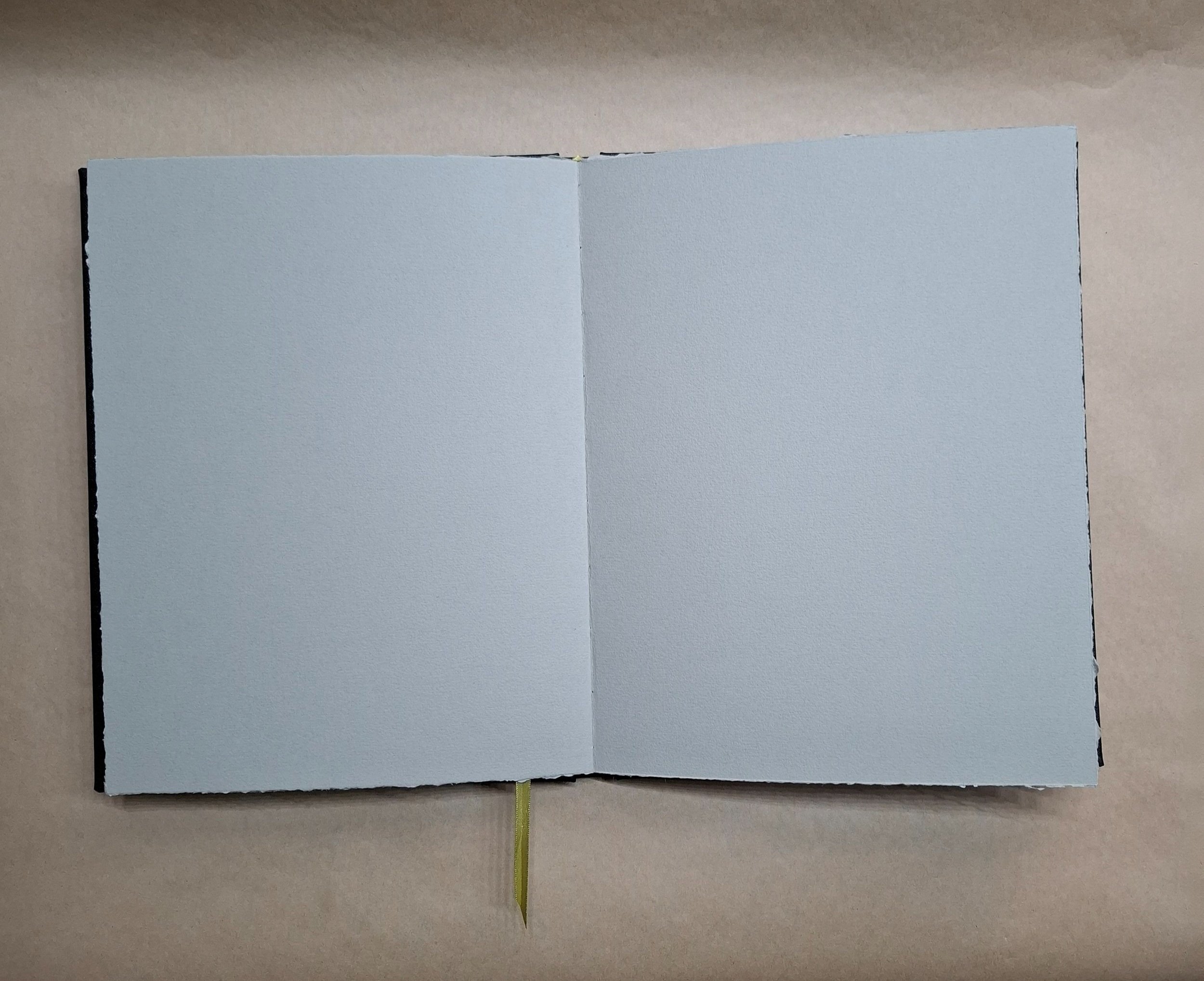 HGSBCansonTonedGrey1.c%5B1%5D.jpg