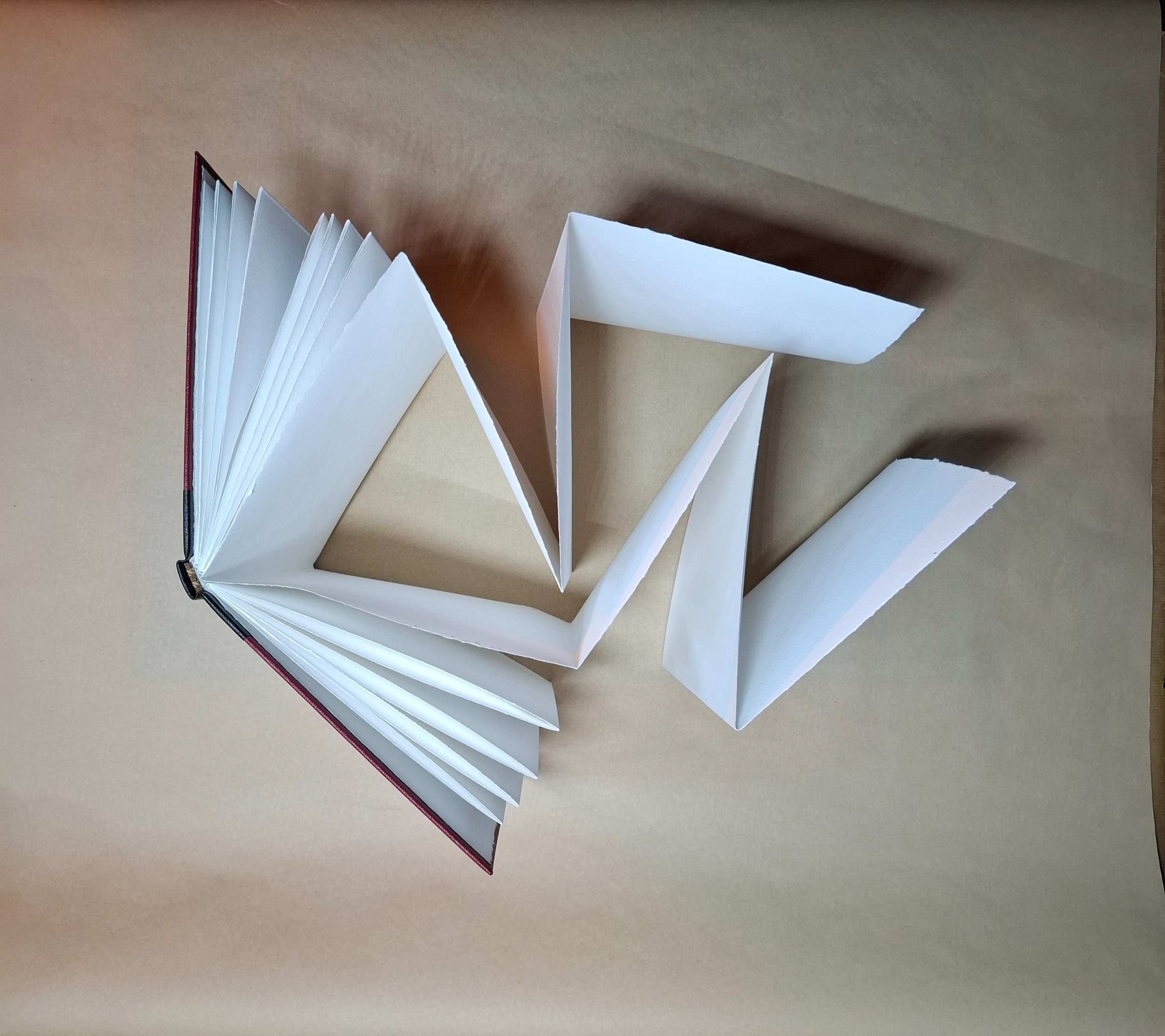 Book of Concertinas