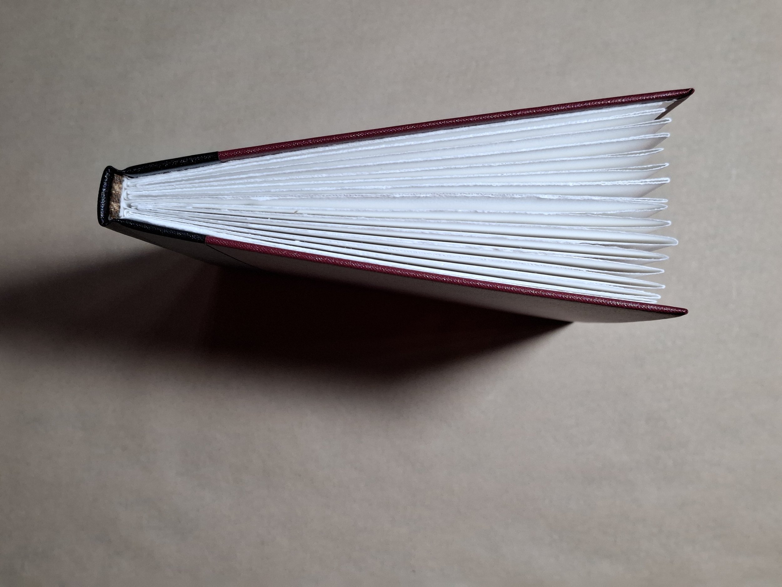 B21.Concertina.3.jpg