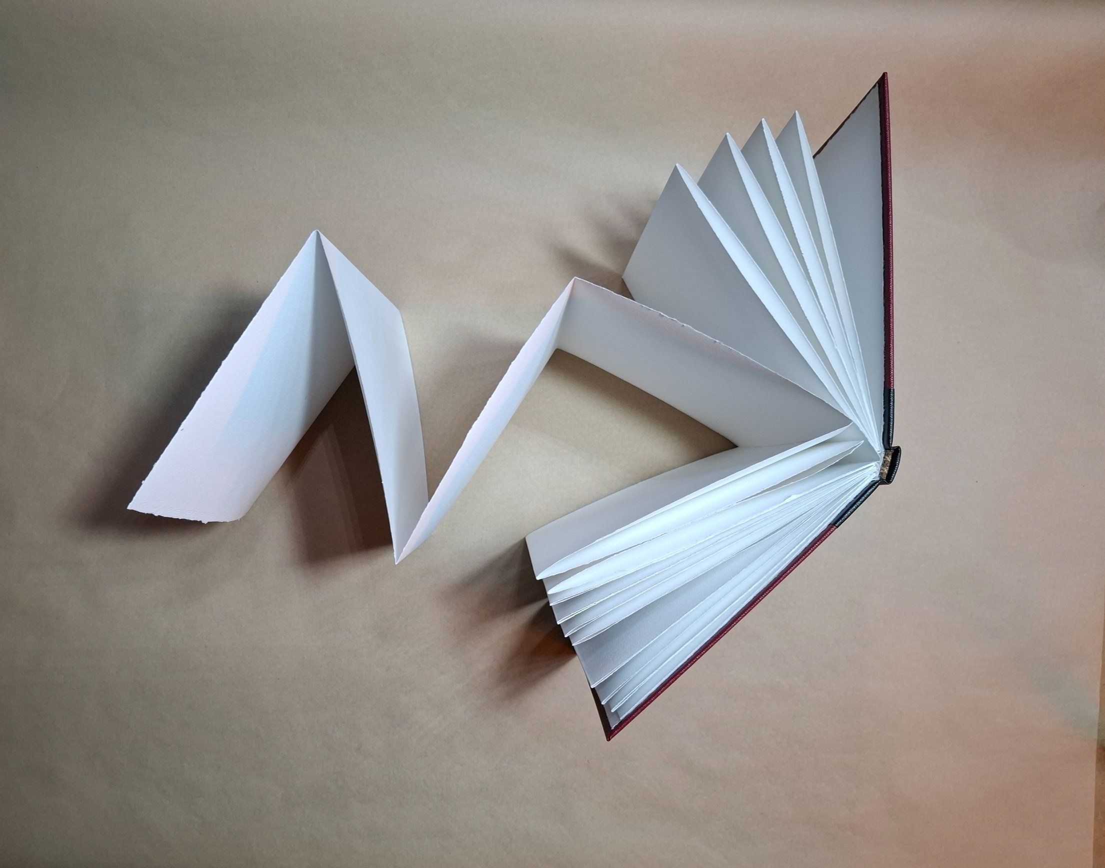 B21.Concertina.6.jpg