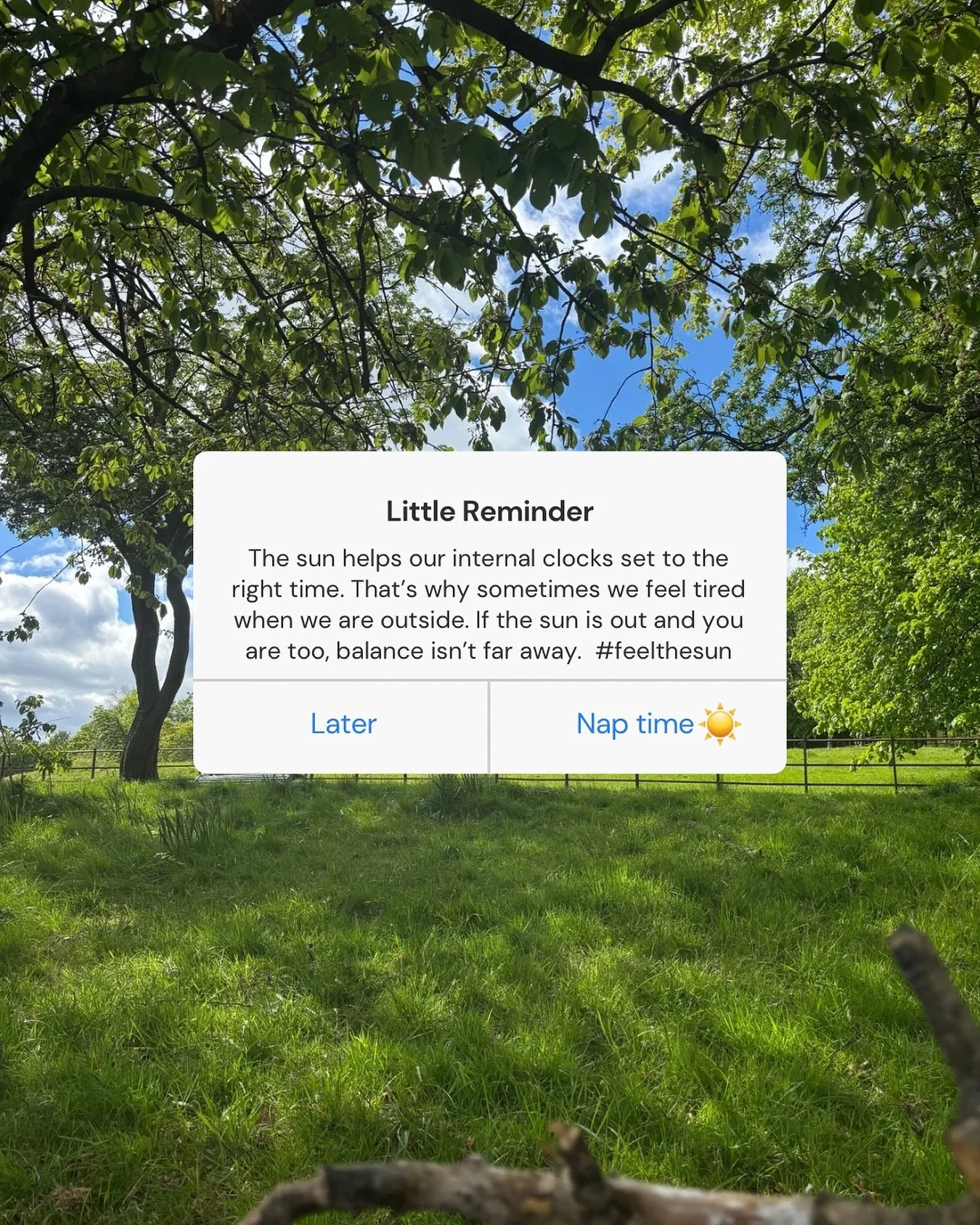 Glasgow is treating us with such glorious sunshine ☀️ 

Have you been able to enjoy it?

#feelthesunshine