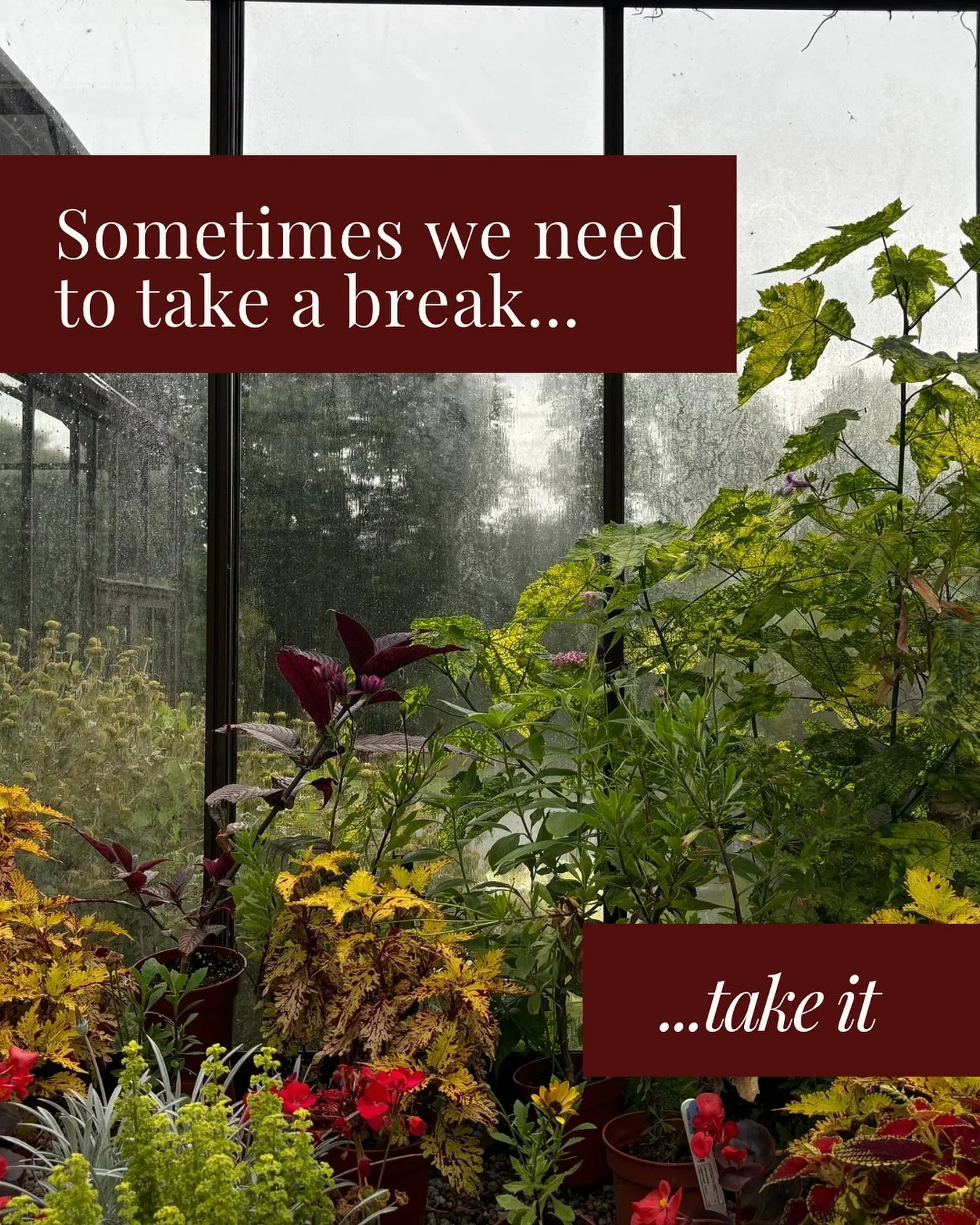 ⭐️Breaks can be game changing. Even if it&rsquo;s just from social media⭐️

Something I&rsquo;ve done is turn off my notifications for IG and it&rsquo;s a game changer. It&rsquo;s a small step but sometimes it&rsquo;s what is needed. 

#mentalhealth 