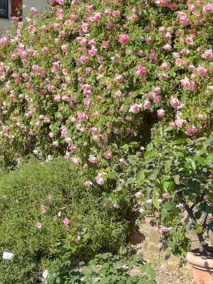 Spring days in Florence🎀