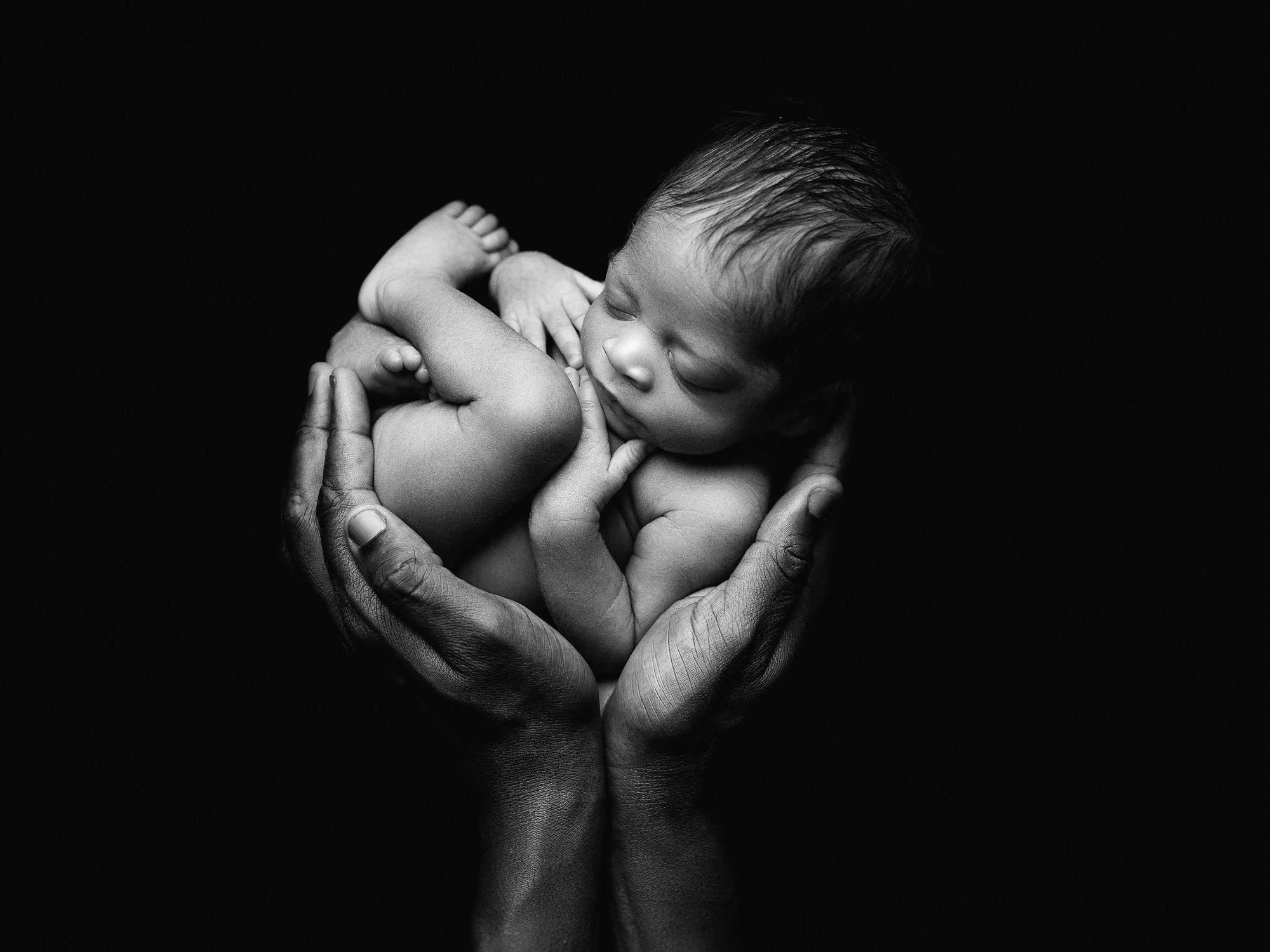 Black and white photo of a newborn baby curled up in an adult's hands with dark background.