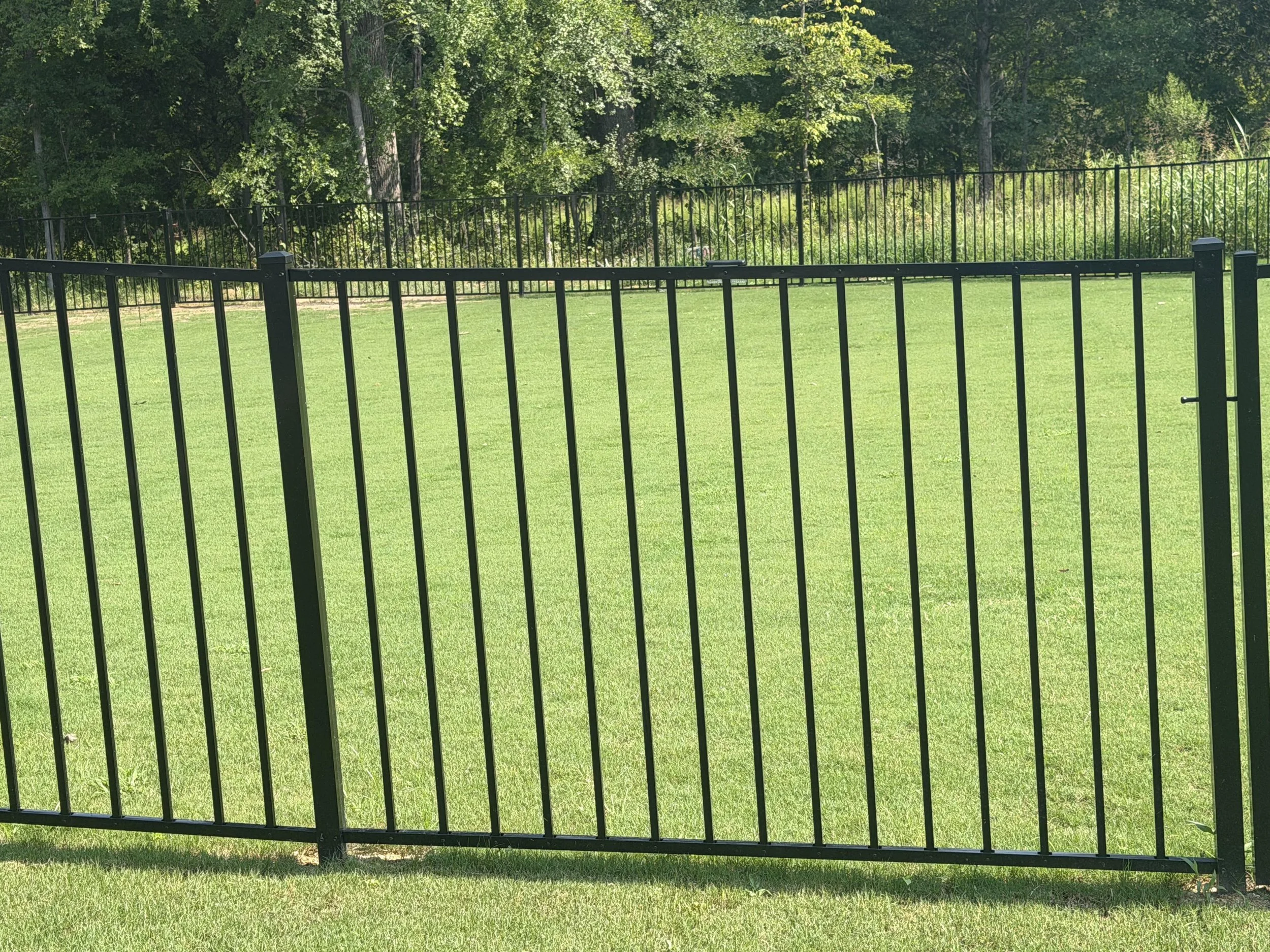 A black metal fence with vertical bars and post caps surrounds a green grassy yard, with dense trees and foliage in the background.