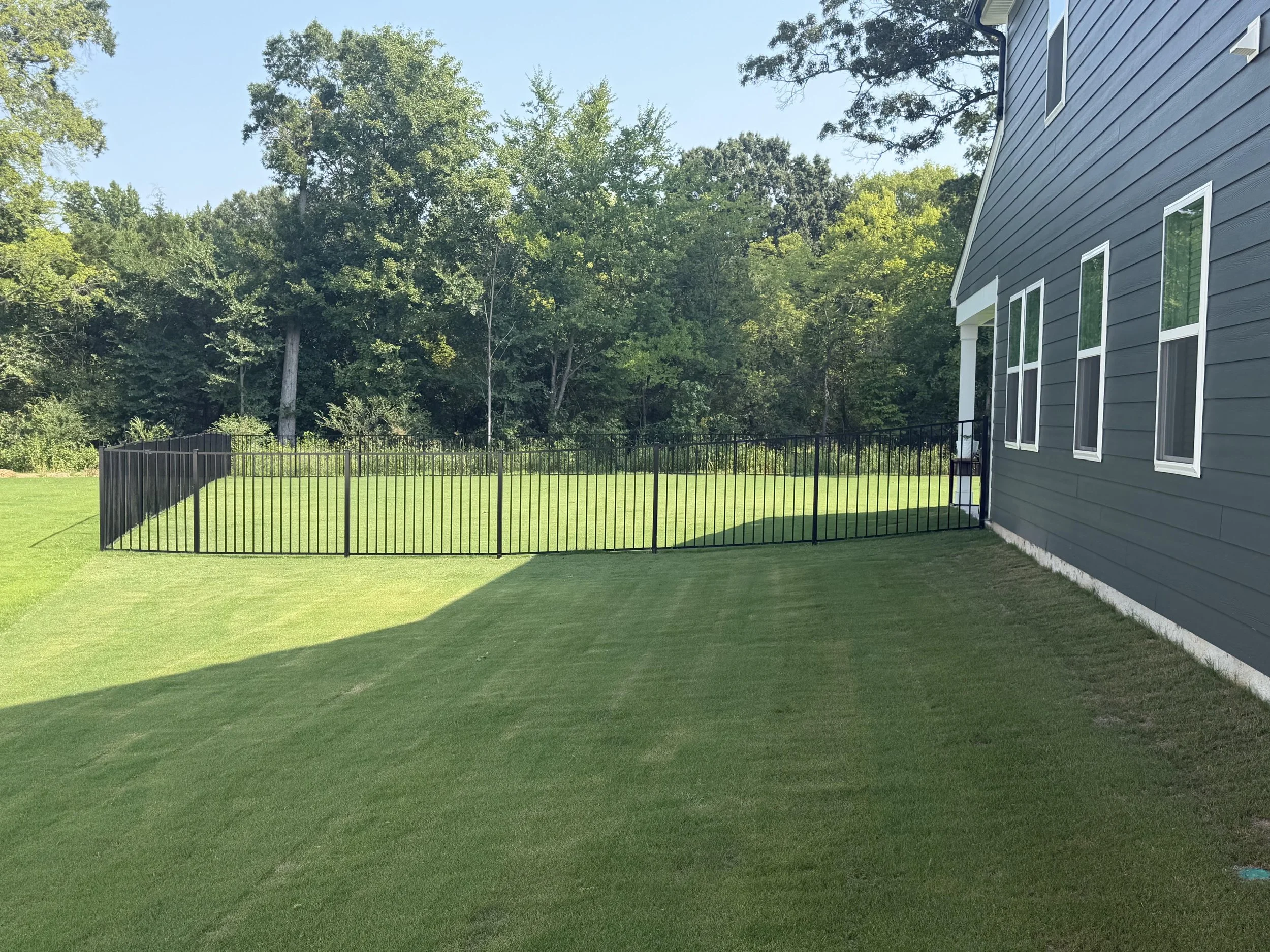 A backyard with a black metal fence, green lawn, and a house with dark blue siding and multiple windows, surrounded by trees and clear blue sky.