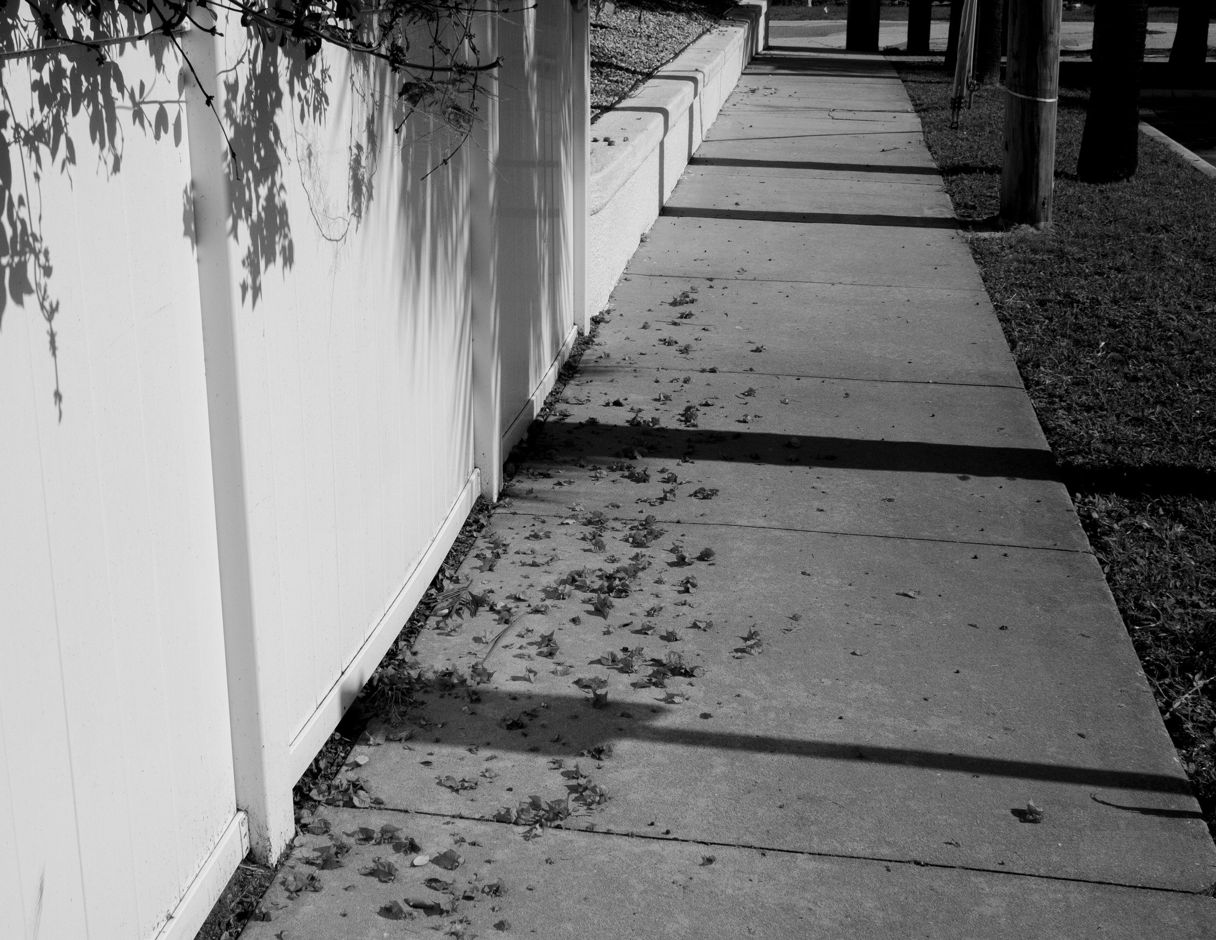The Sidewalk on Beachside: Daytona Beach, FL. Taken with Canon Rebel T7. 2024.