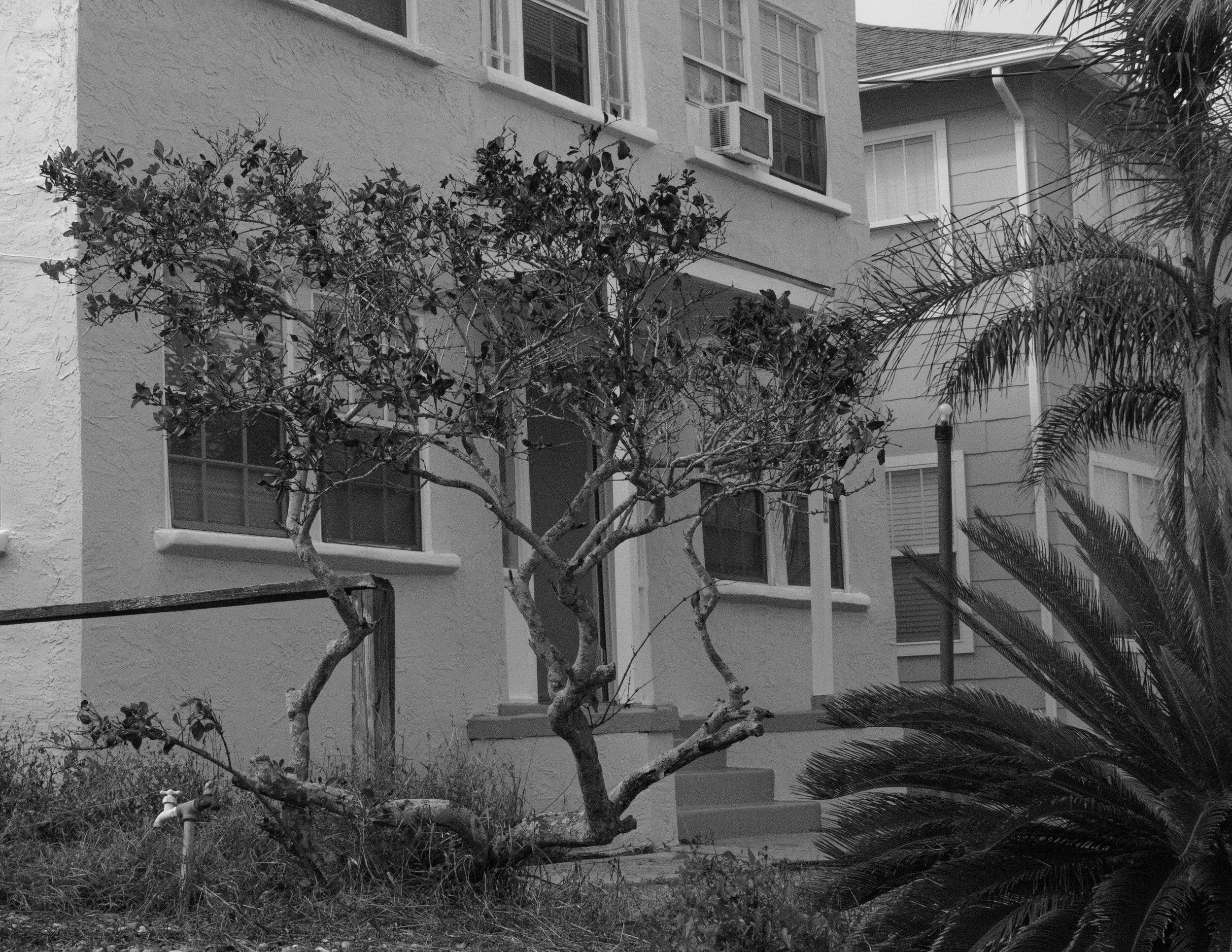 Another Apartment on Beachside: Daytona Beach, FL. Taken with Canon Rebel T7. 2024.