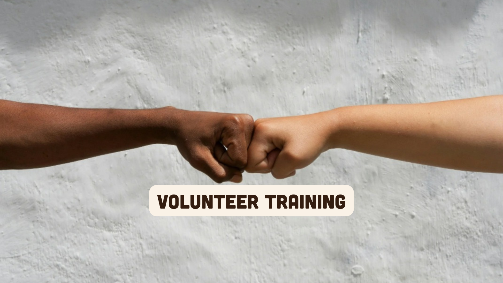volunteer training (2).png