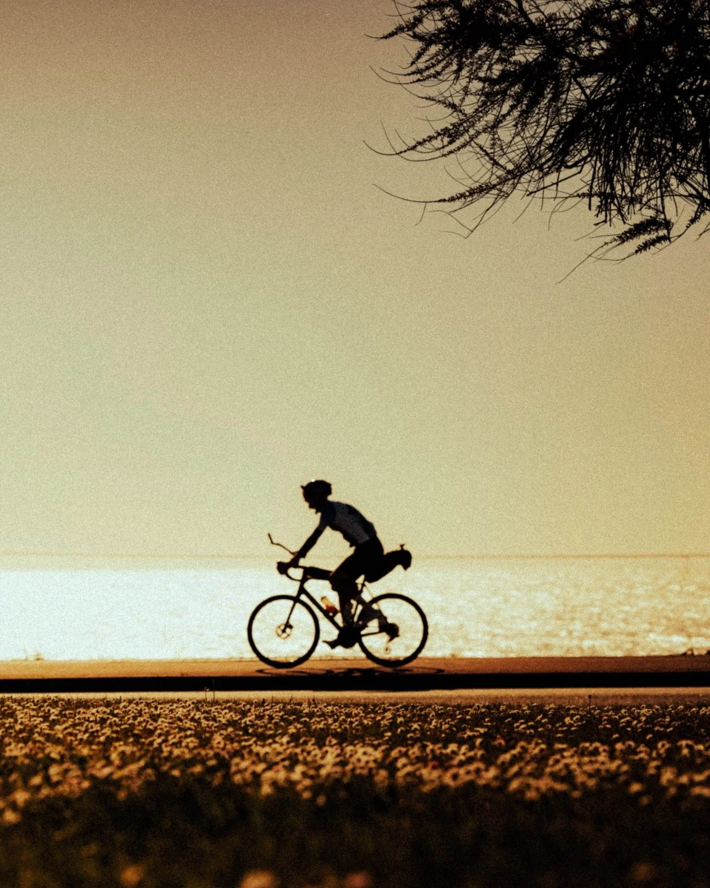 🇬🇧Some images speak for themselves. Just take a moment to admire.✨

While some of our riders have already crossed the finish line in Amarante &ndash; Vila Me&atilde;, others are still out there, pushing every pedal stroke to become finishers.

Have