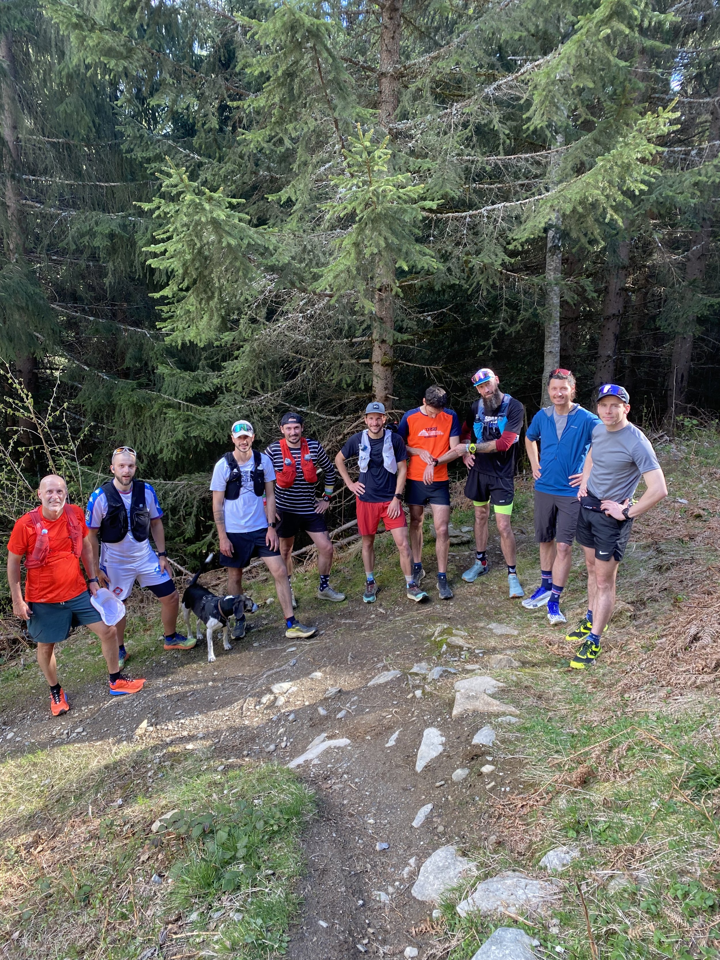 stage trail alpha trail running
