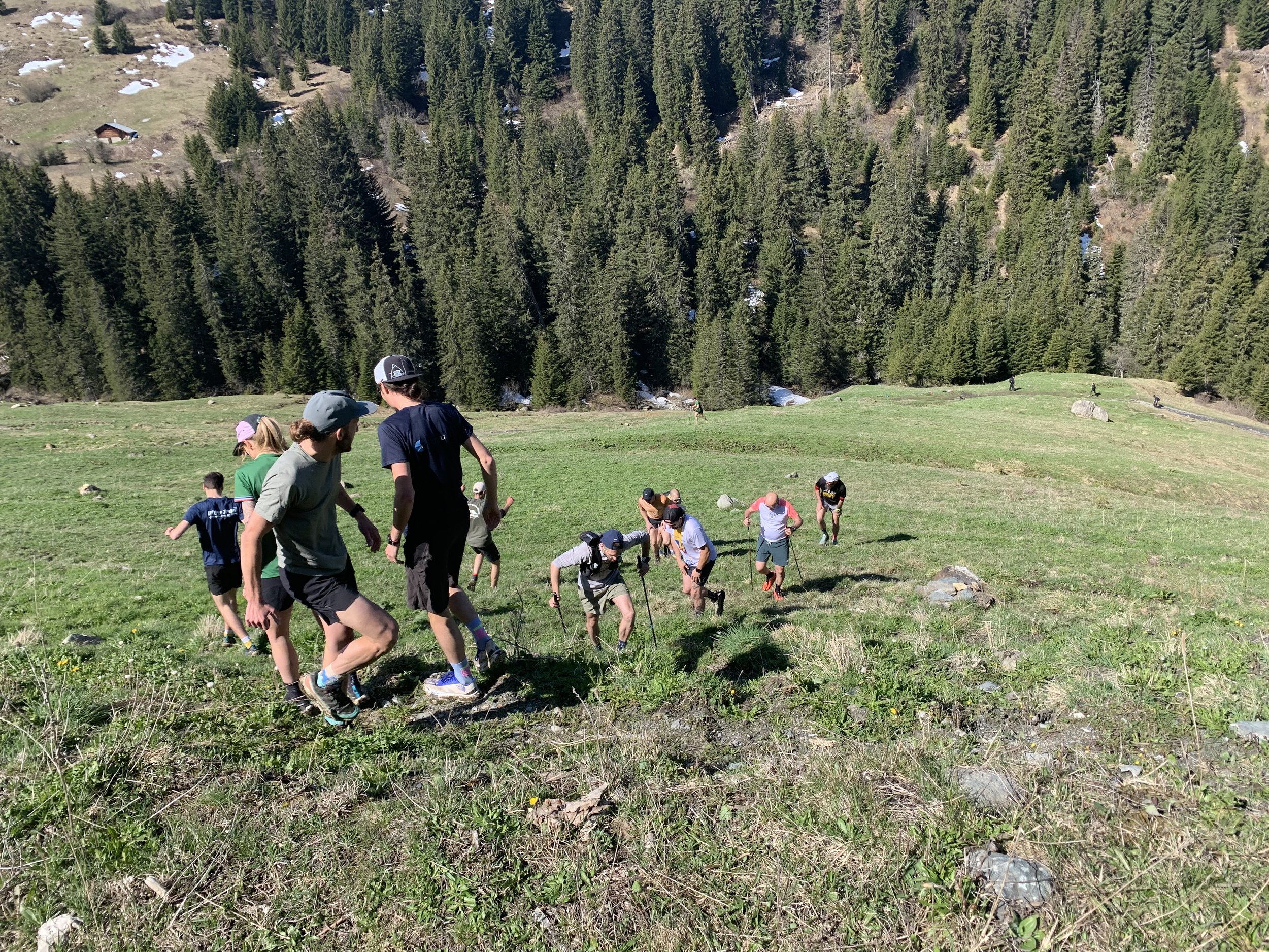 stage trail alpha trail running