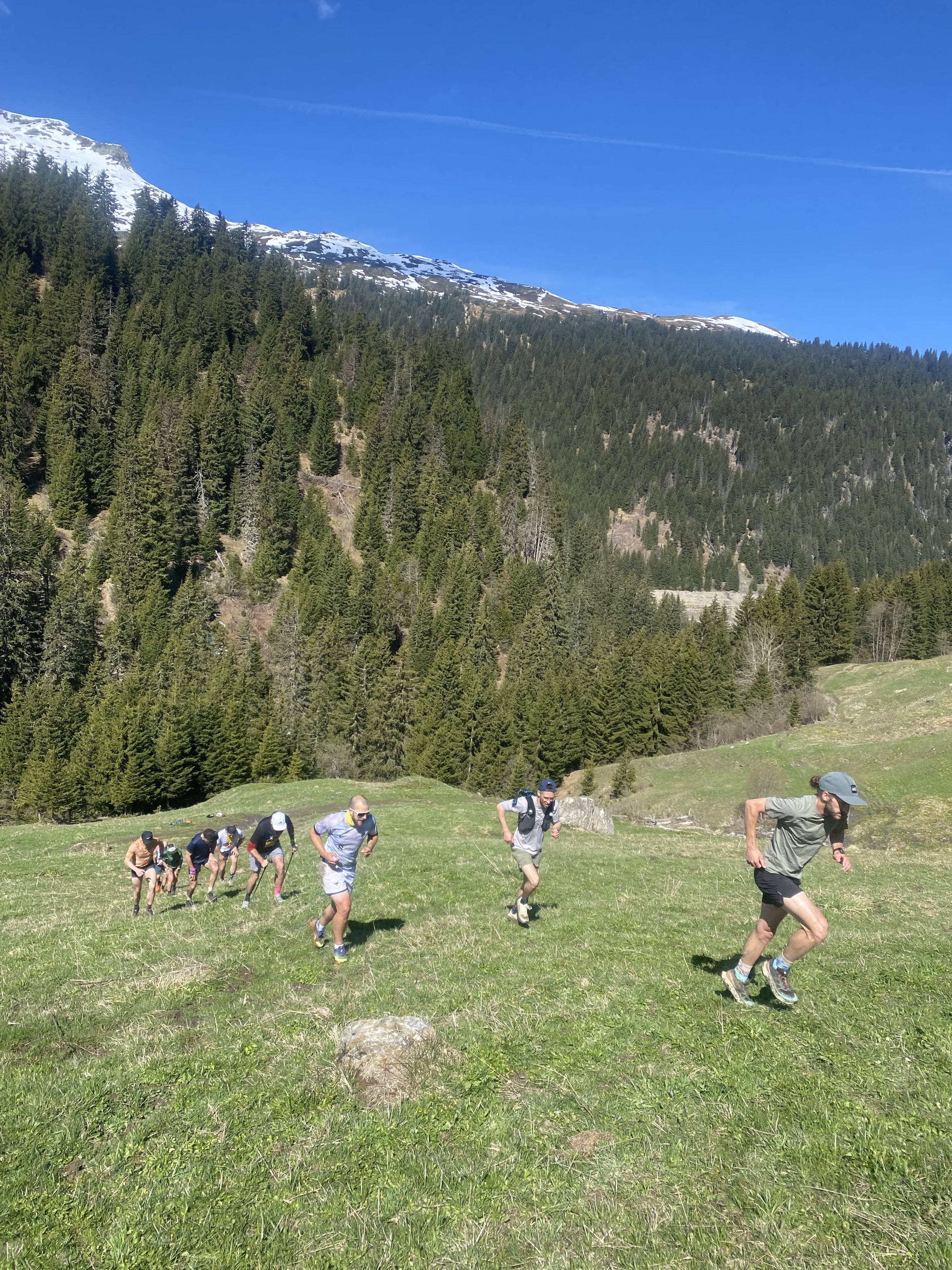 stage trail alpha trail running