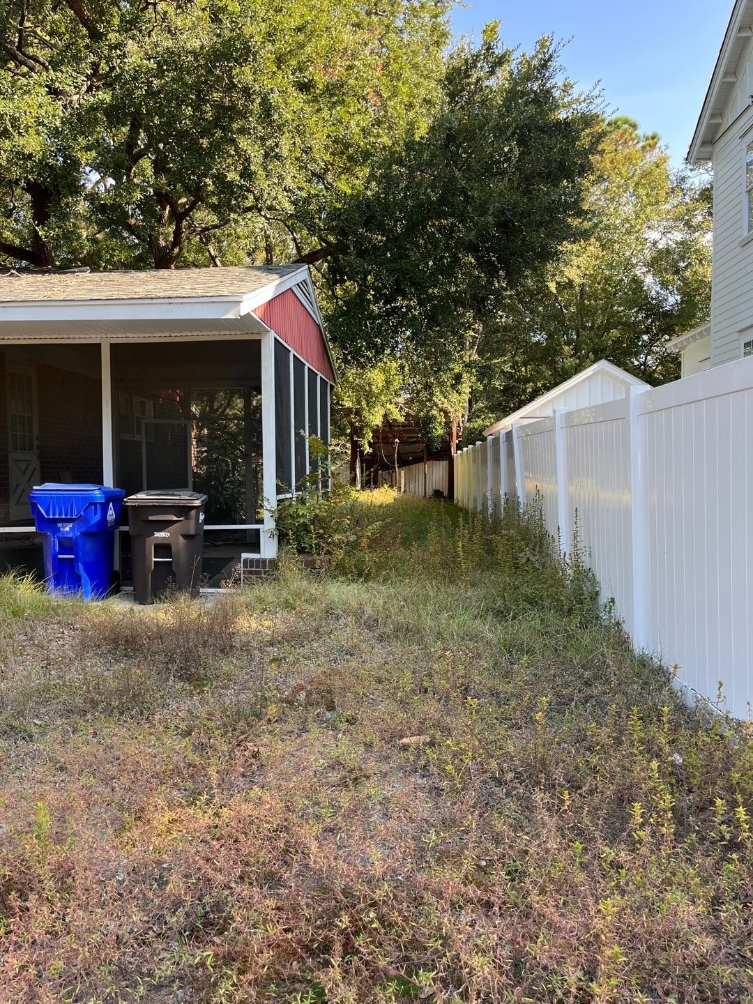 27-Oct 28 2024 02_59pm-efL5.jpg