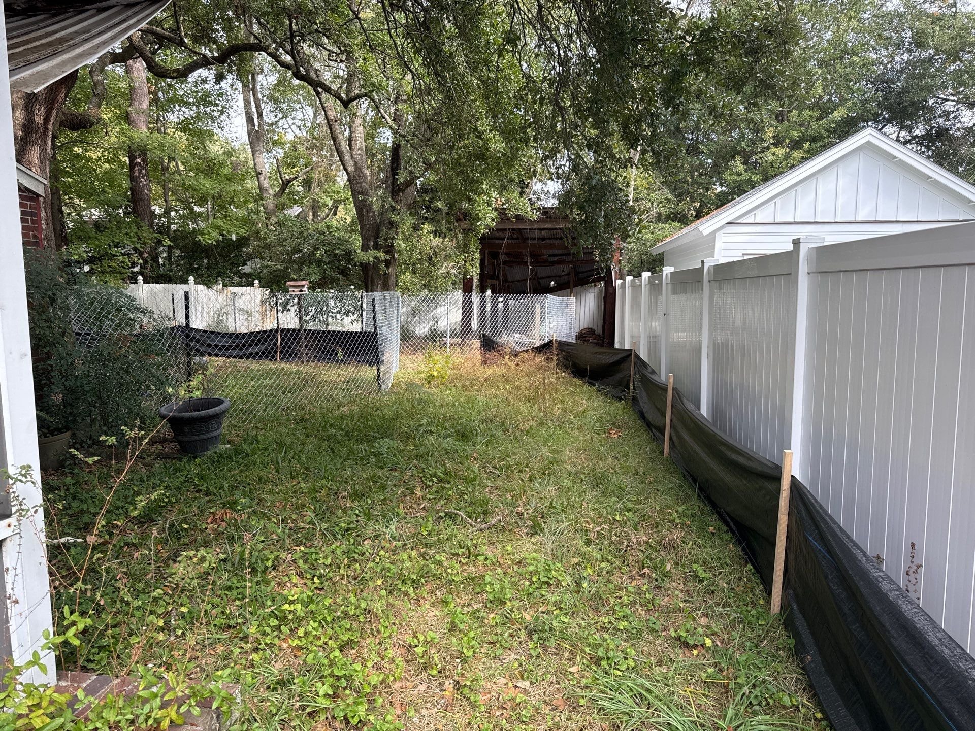 31-Nov 26 2024 04_25pm-bA7F.jpg