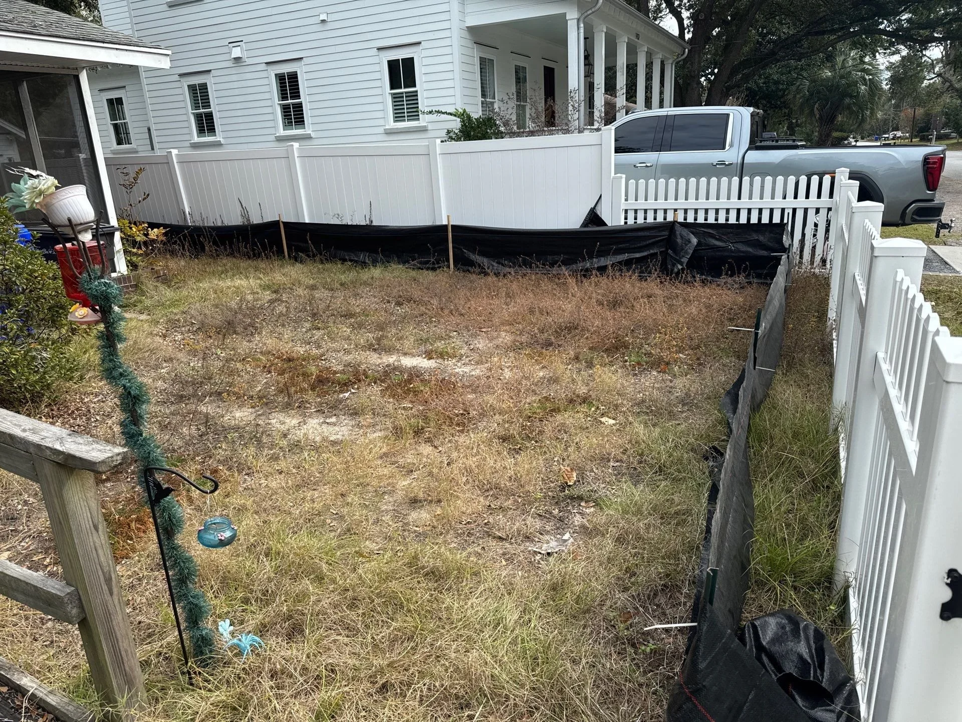 29-Nov 26 2024 04_25pm-tGVH.jpg