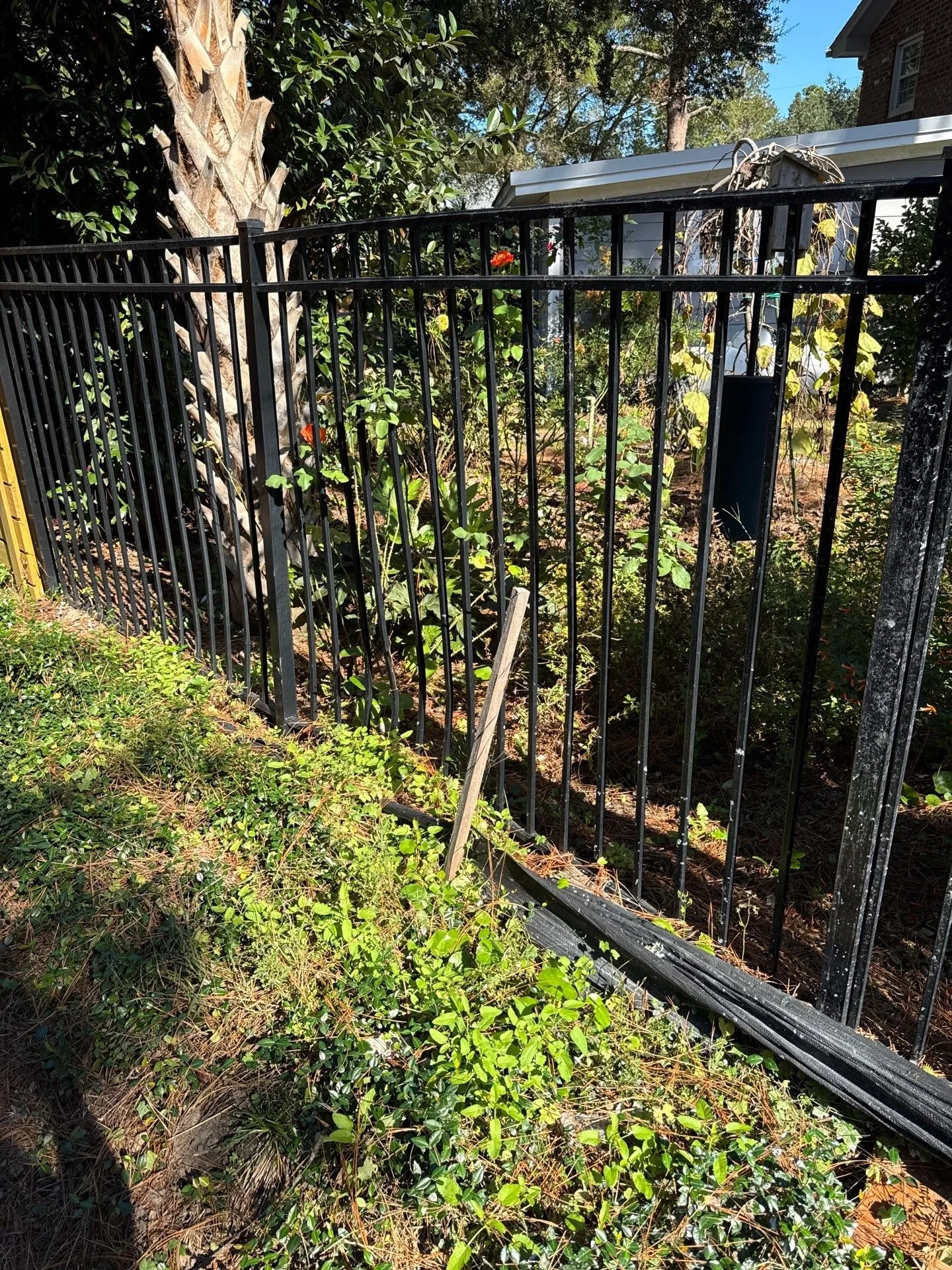 78-Nov 13 2024 04_35pm-6Wxb.jpg