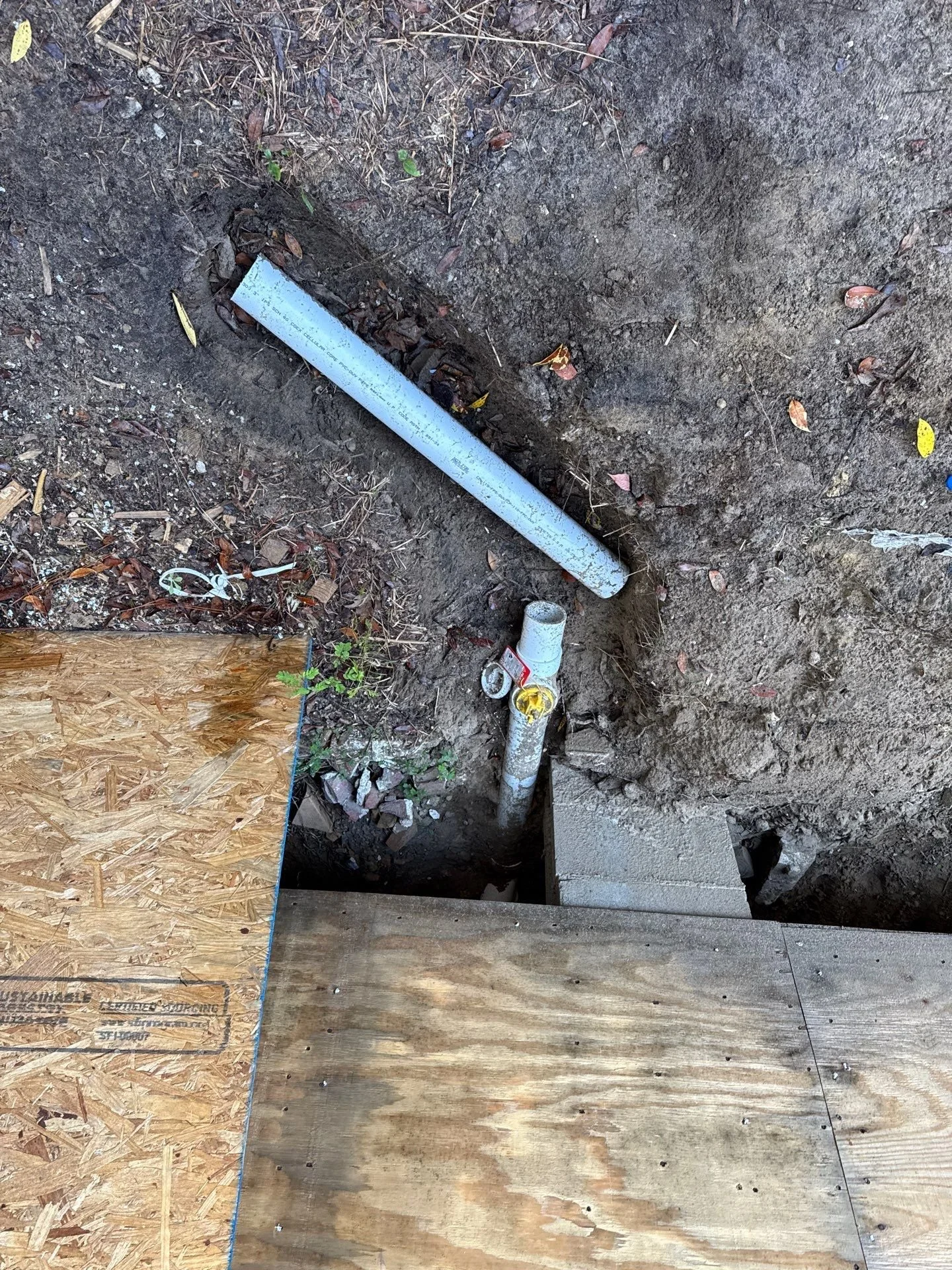 90-Nov 18 2024 12_53pm-jFpo.jpg