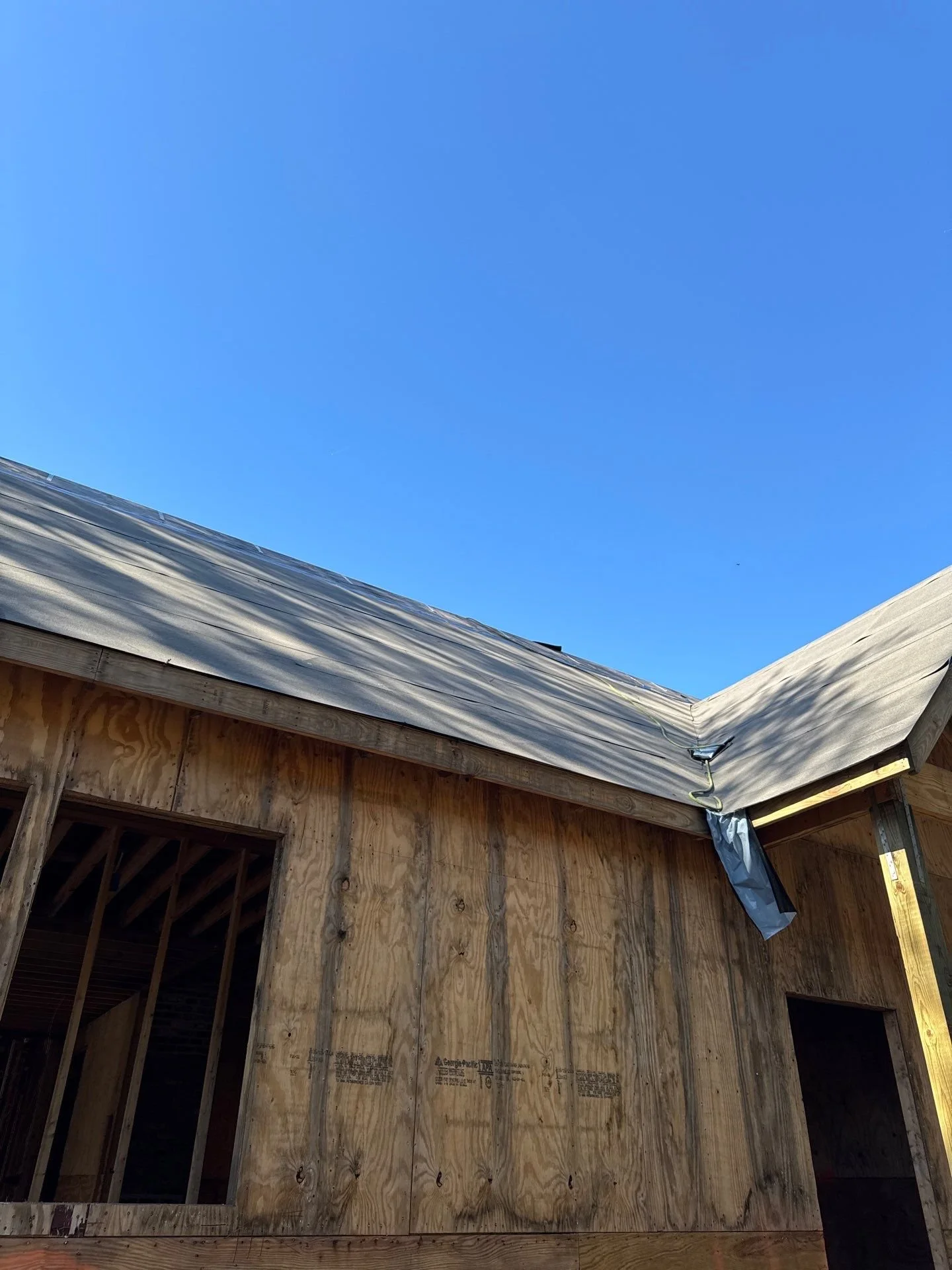 81-Nov 13 2024 04_36pm-trK3.jpg